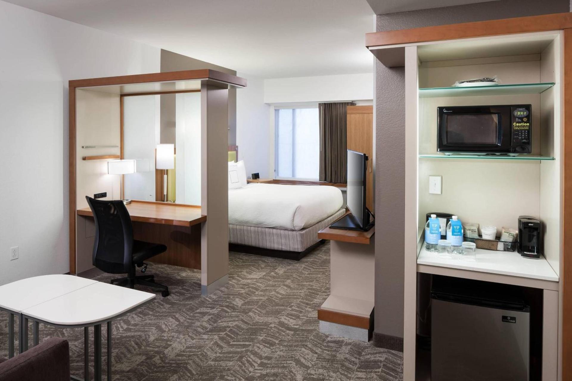 SpringHill Suites by Marriott Orlando at SeaWorld photo 8
