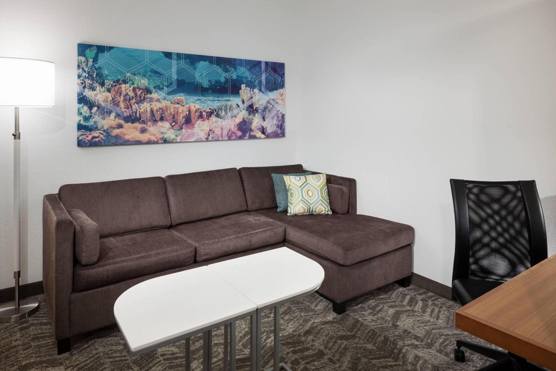 SpringHill Suites by Marriott Orlando at SeaWorld photo 9