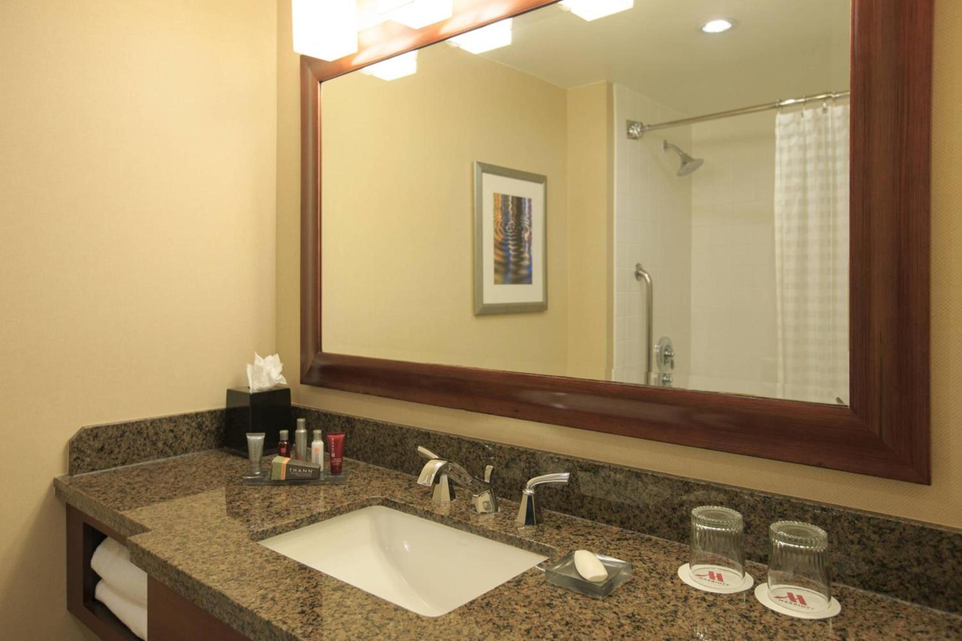 Gaithersburg Marriott Washingtonian Center photo 12