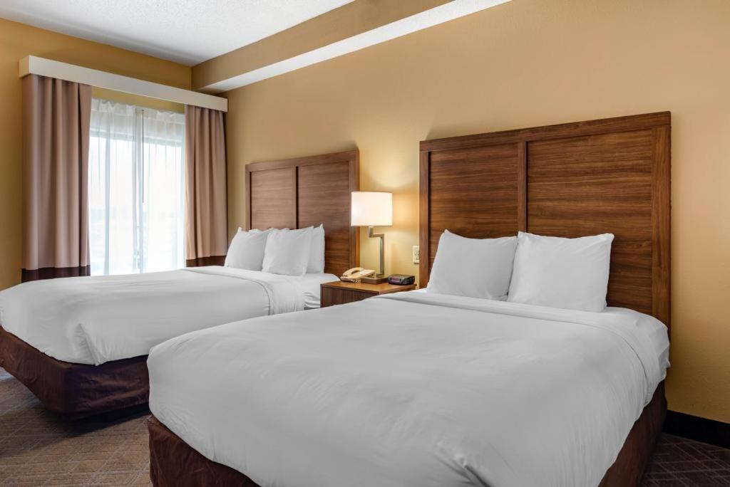 Comfort Inn & Suites at Stone Mountain photo 10
