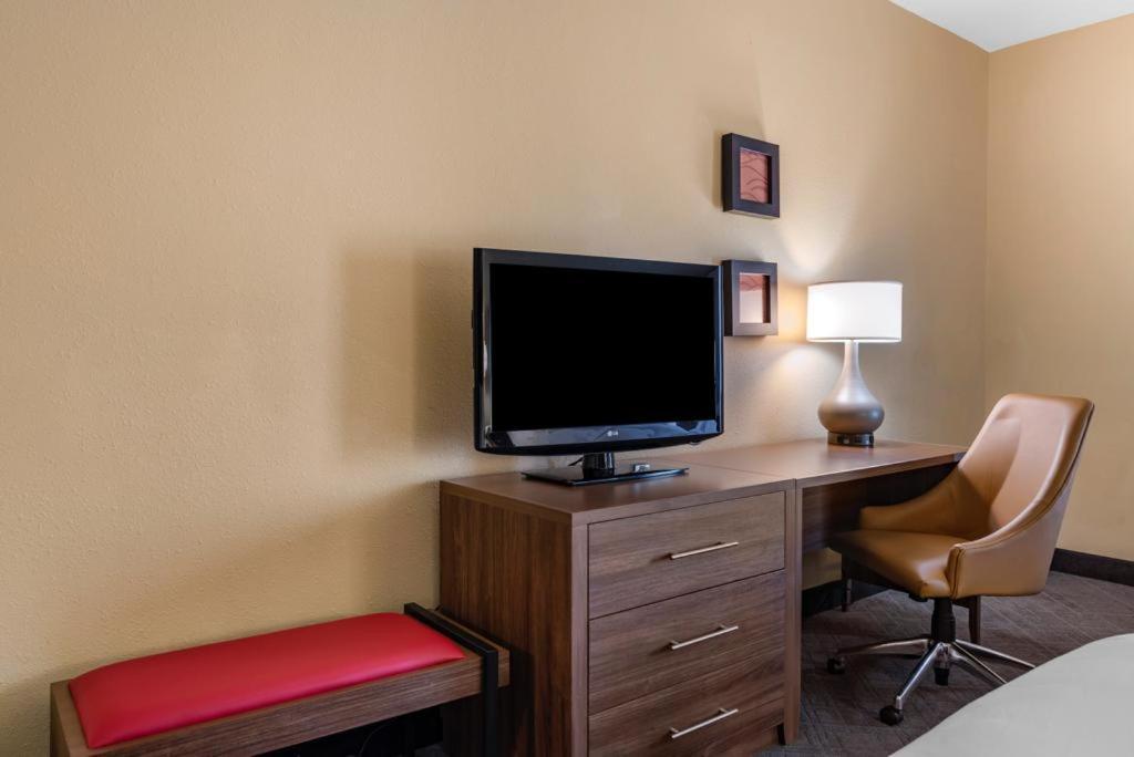 Comfort Inn & Suites at Stone Mountain photo 28