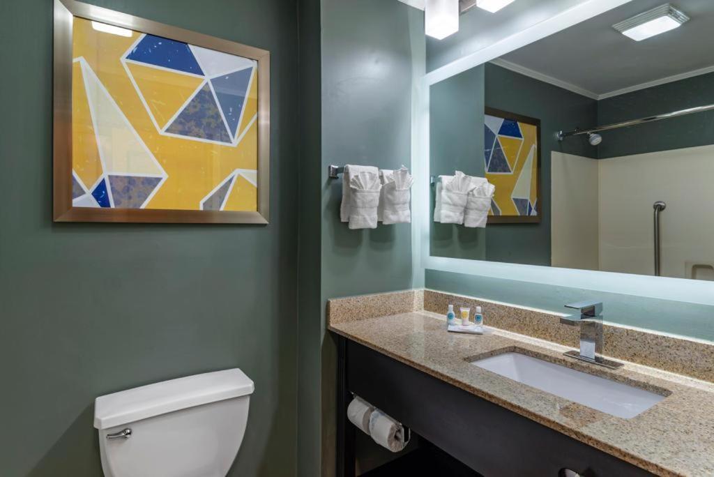 Comfort Inn & Suites at Stone Mountain photo 33