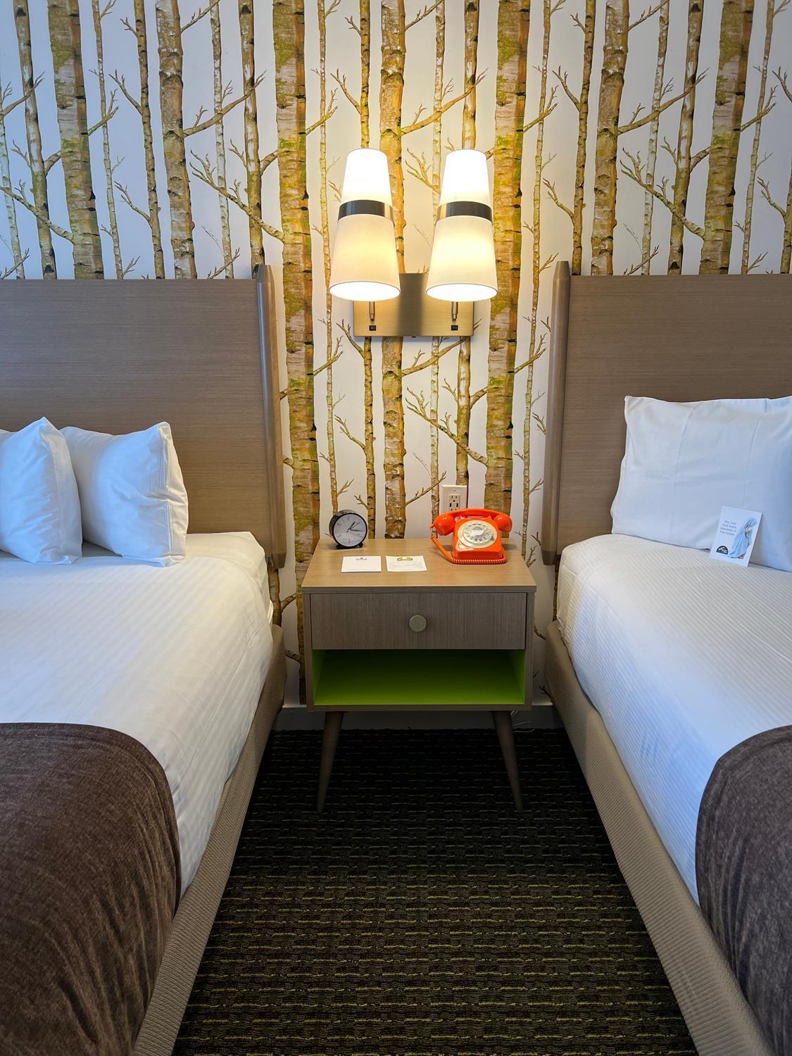 Bar Harbor Motel photo 13