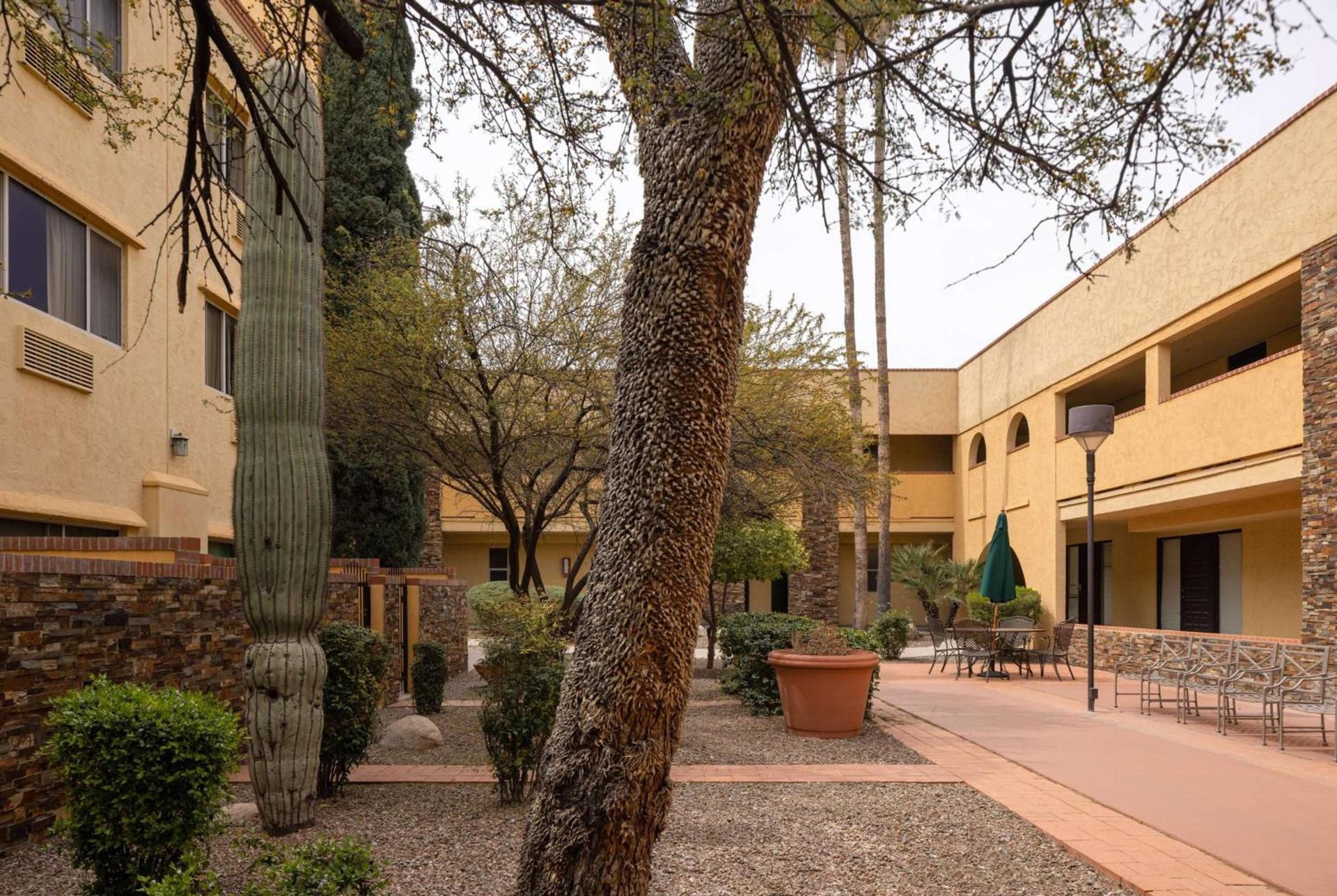 Spark by Hilton Tucson Reid Park photo 35