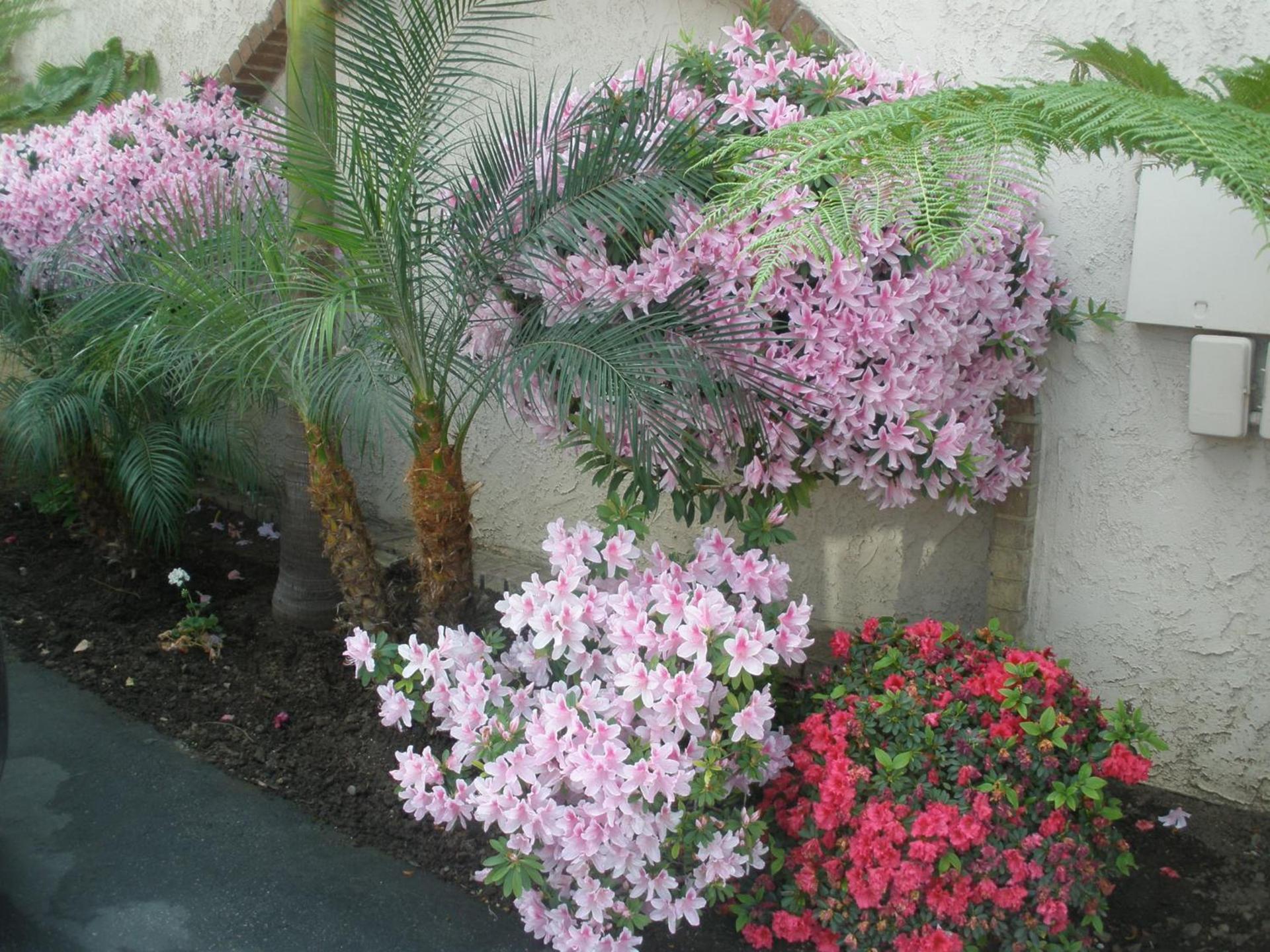 Garden Inn and Suites Glendora photo 9