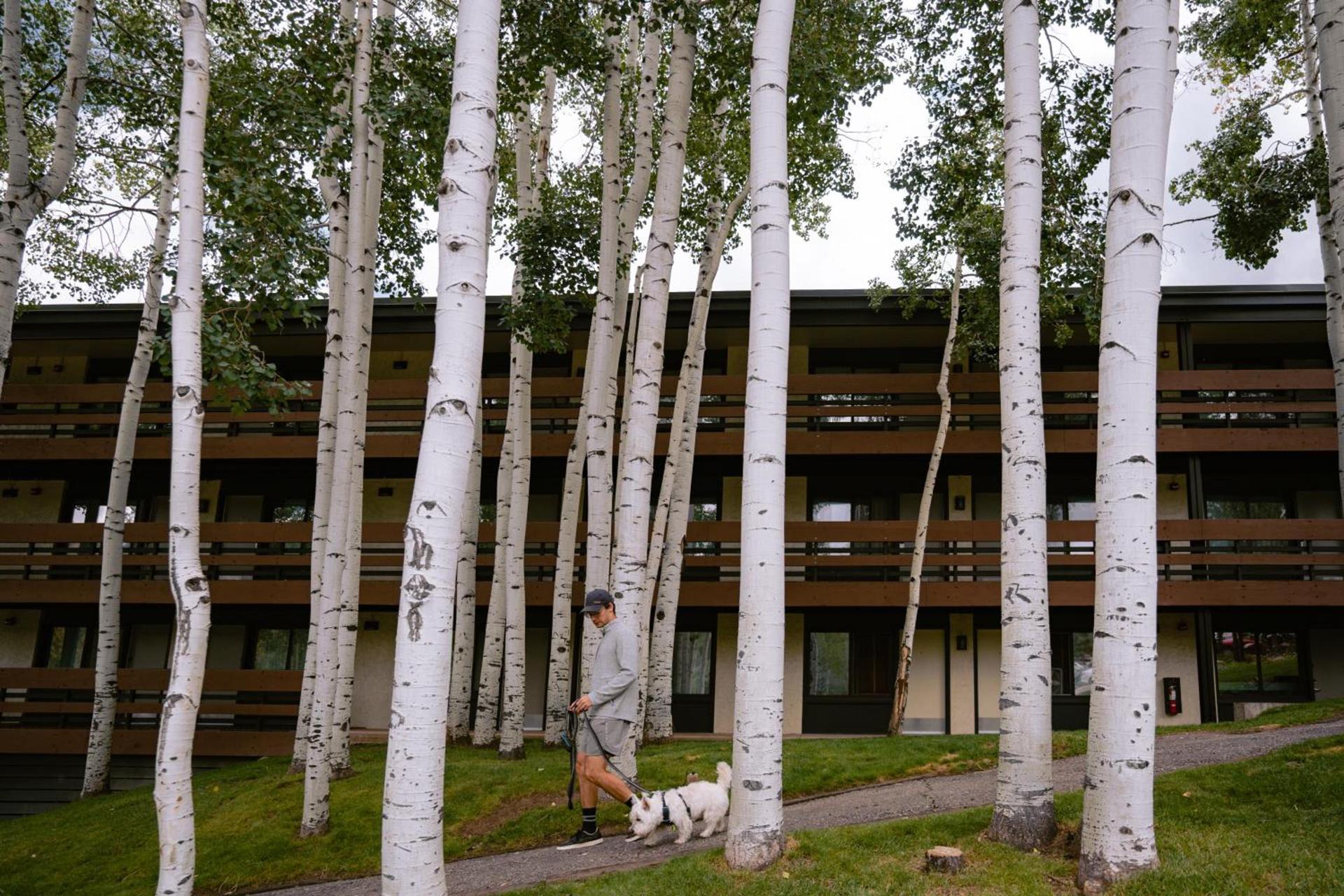 Wildwood Snowmass photo 29