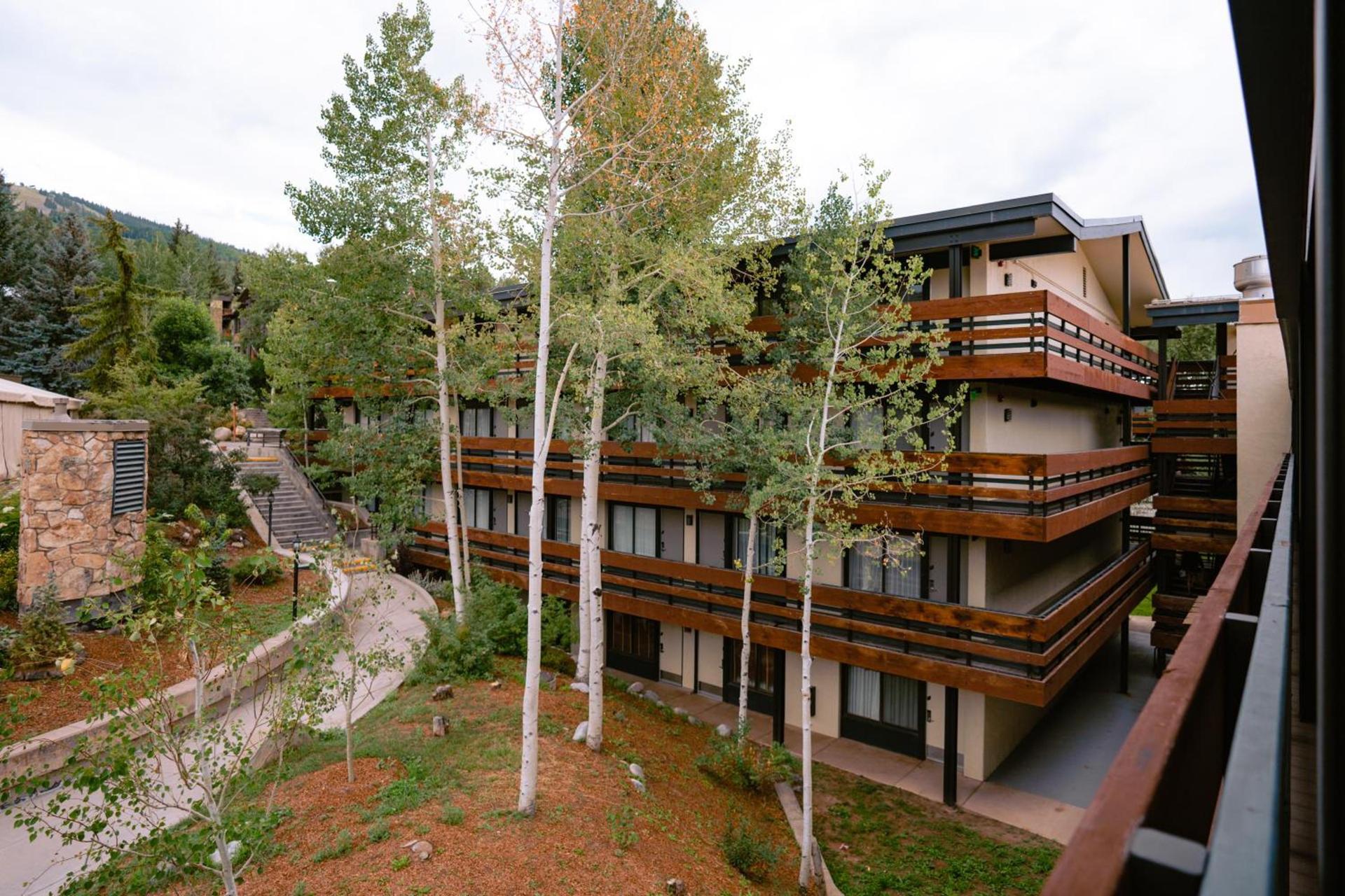 Wildwood Snowmass photo 24
