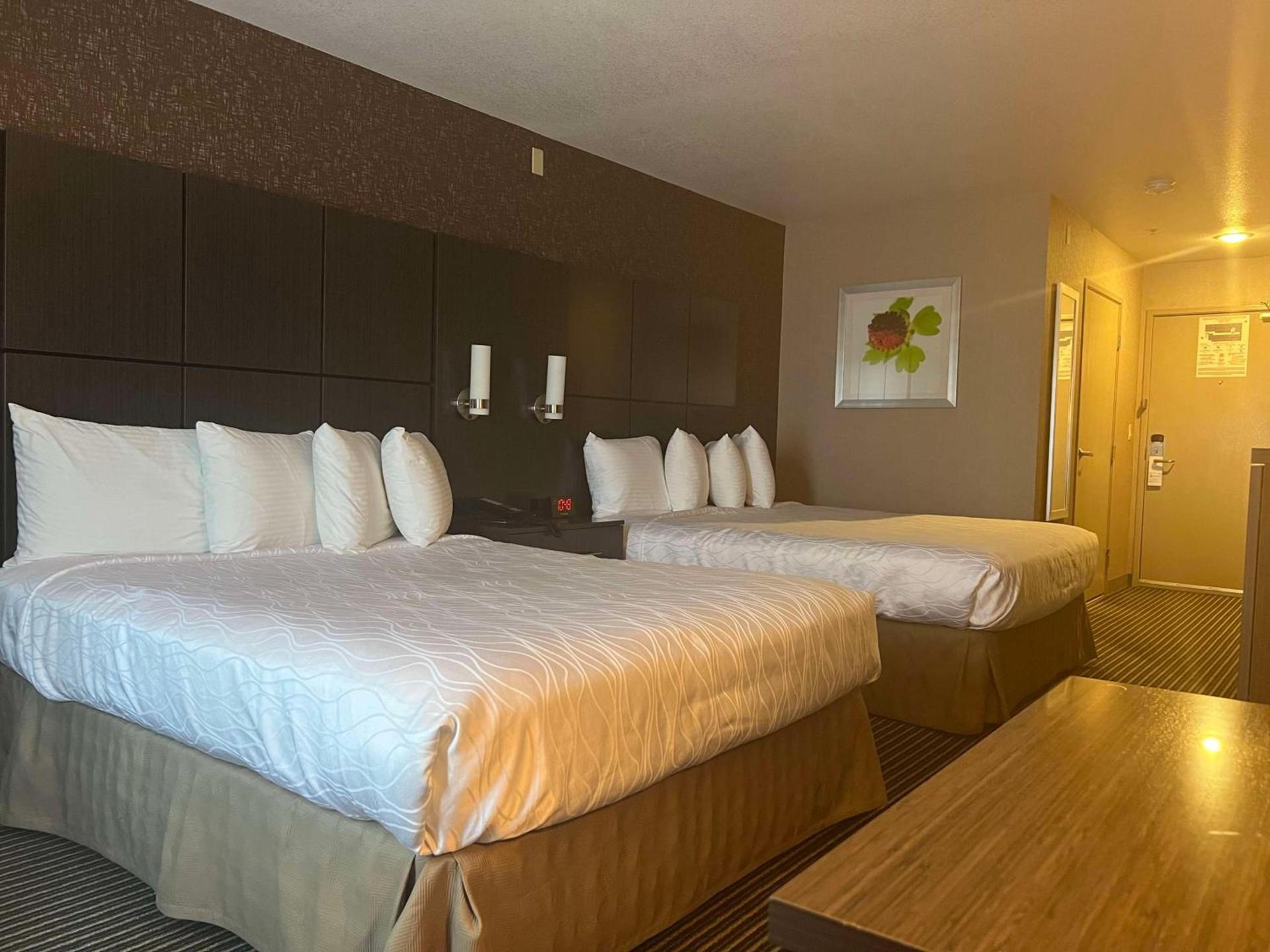 Best Western Plus Rama Inn & Suites photo 25