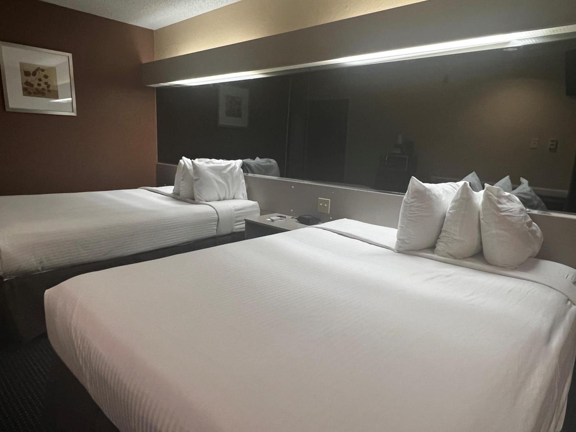 Microtel Inn & Suites by Wyndham Houston/Webster/Nasa/Clearlake photo 41