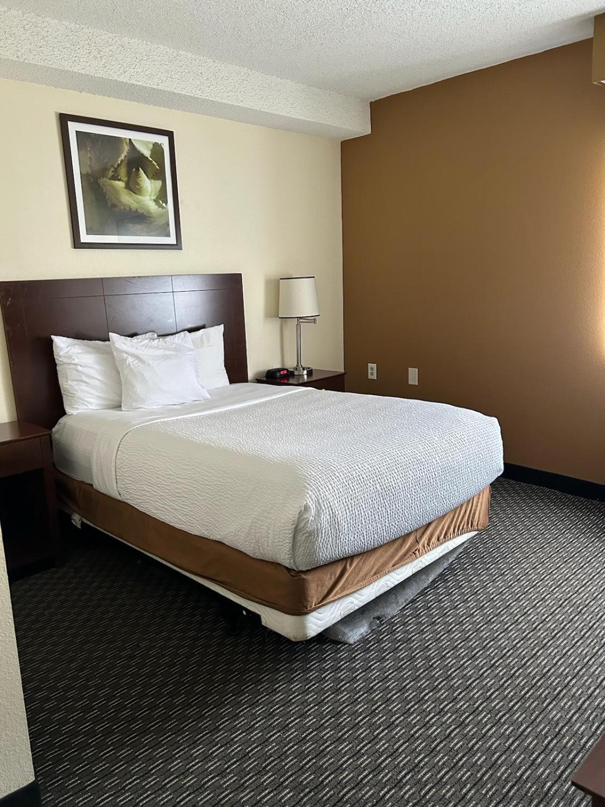 Baymont by Wyndham Orlando South photo 44
