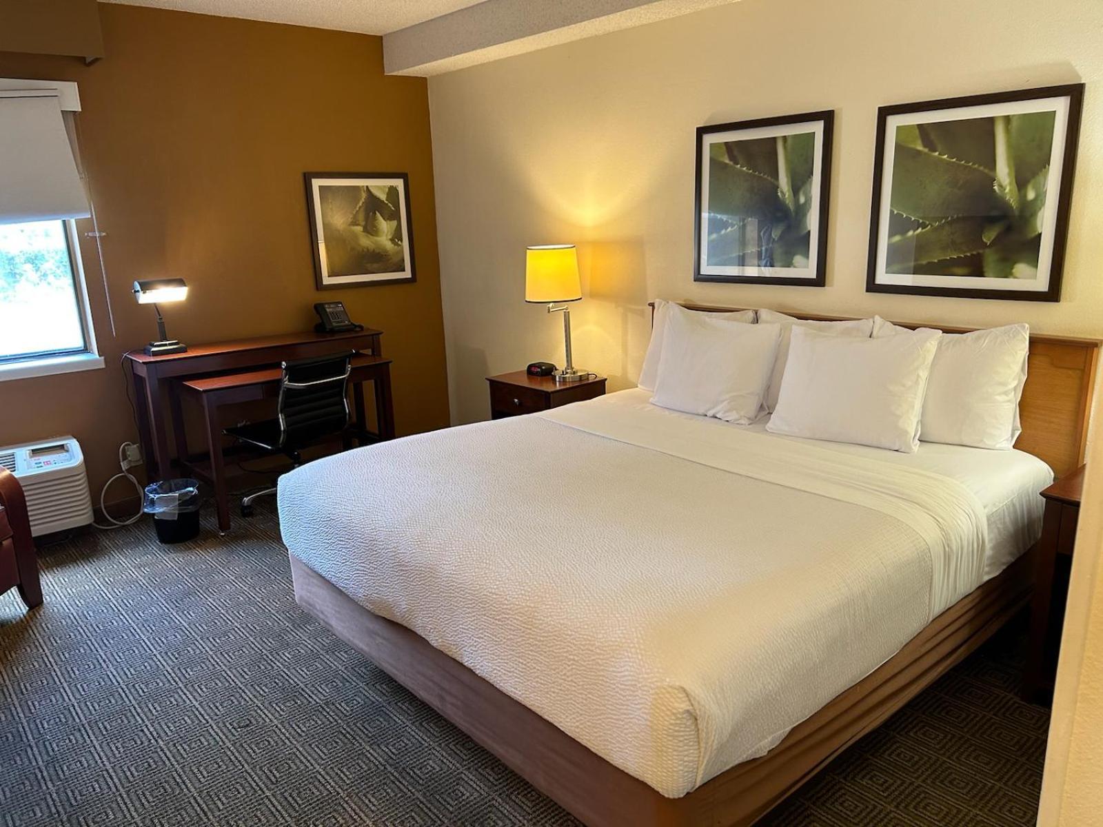 Baymont by Wyndham Orlando South photo 48