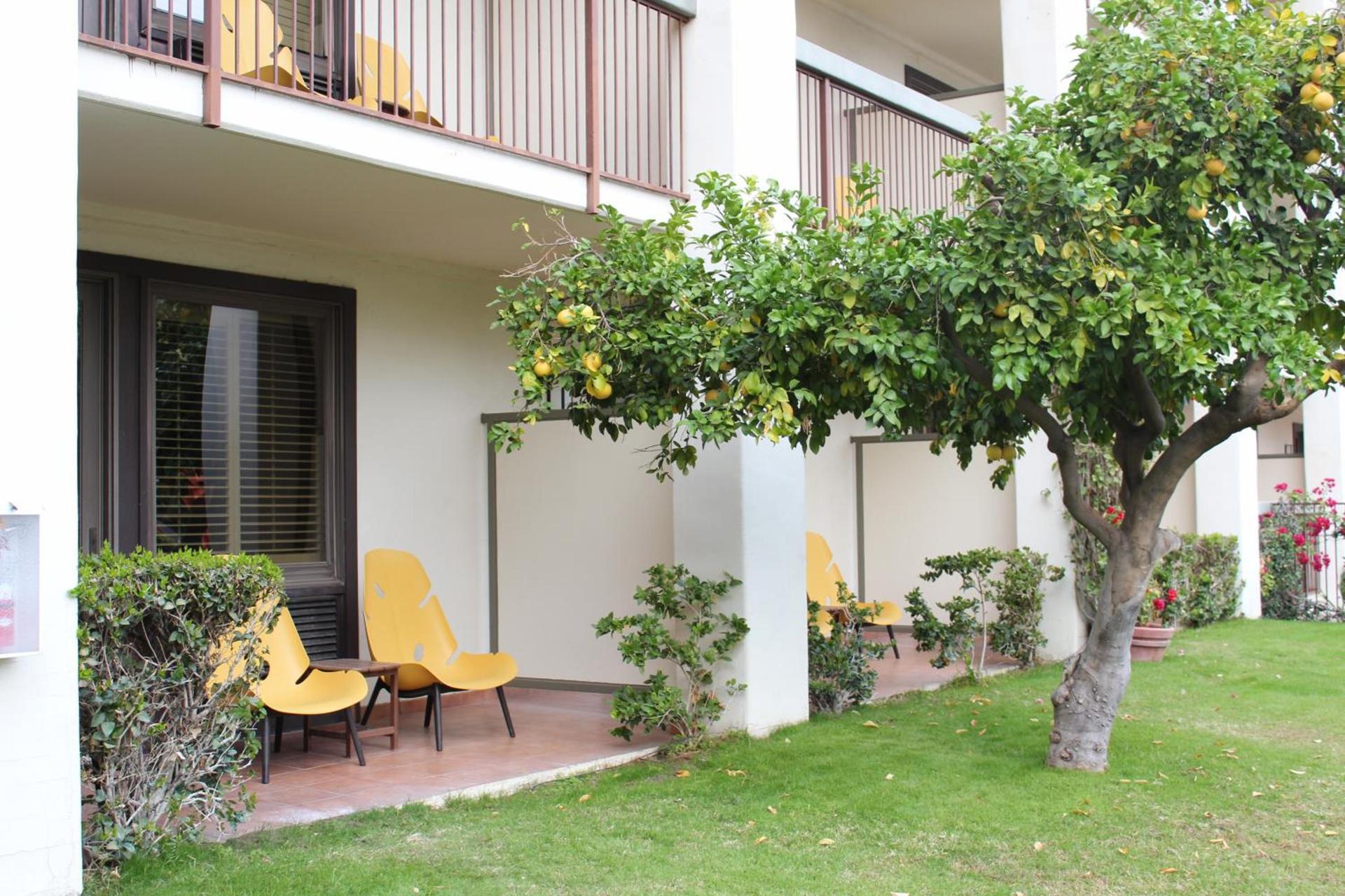 Palm Mountain Resort & Spa photo 4