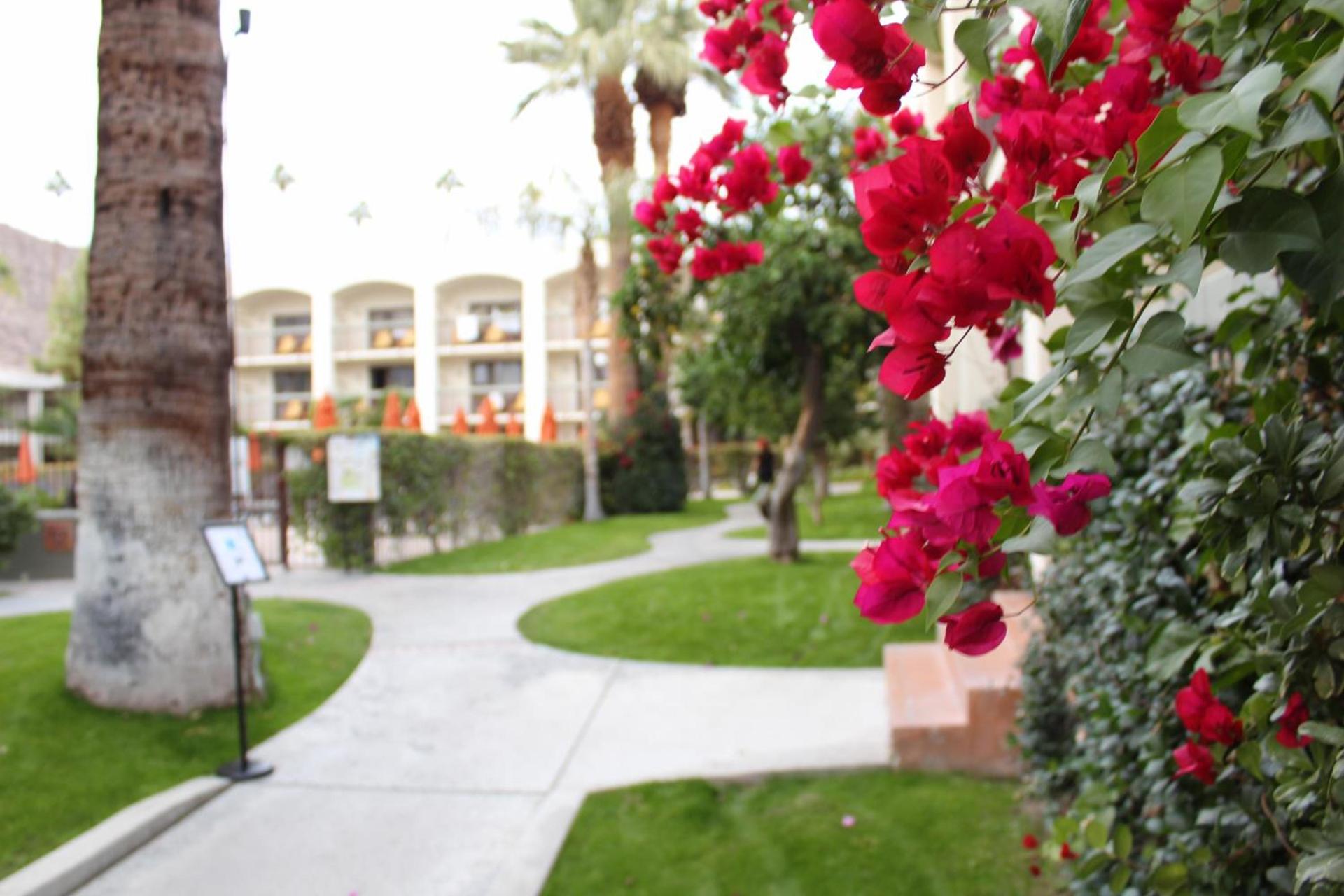 Palm Mountain Resort & Spa photo 23
