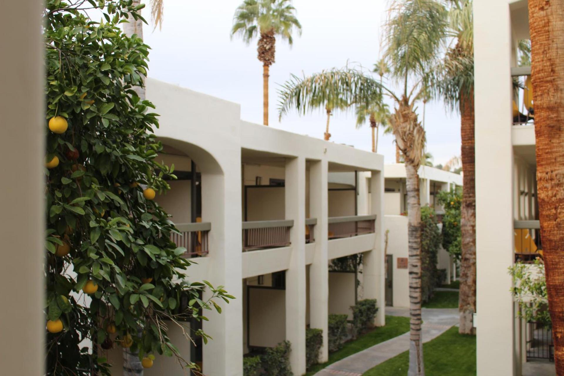 Palm Mountain Resort & Spa photo 1