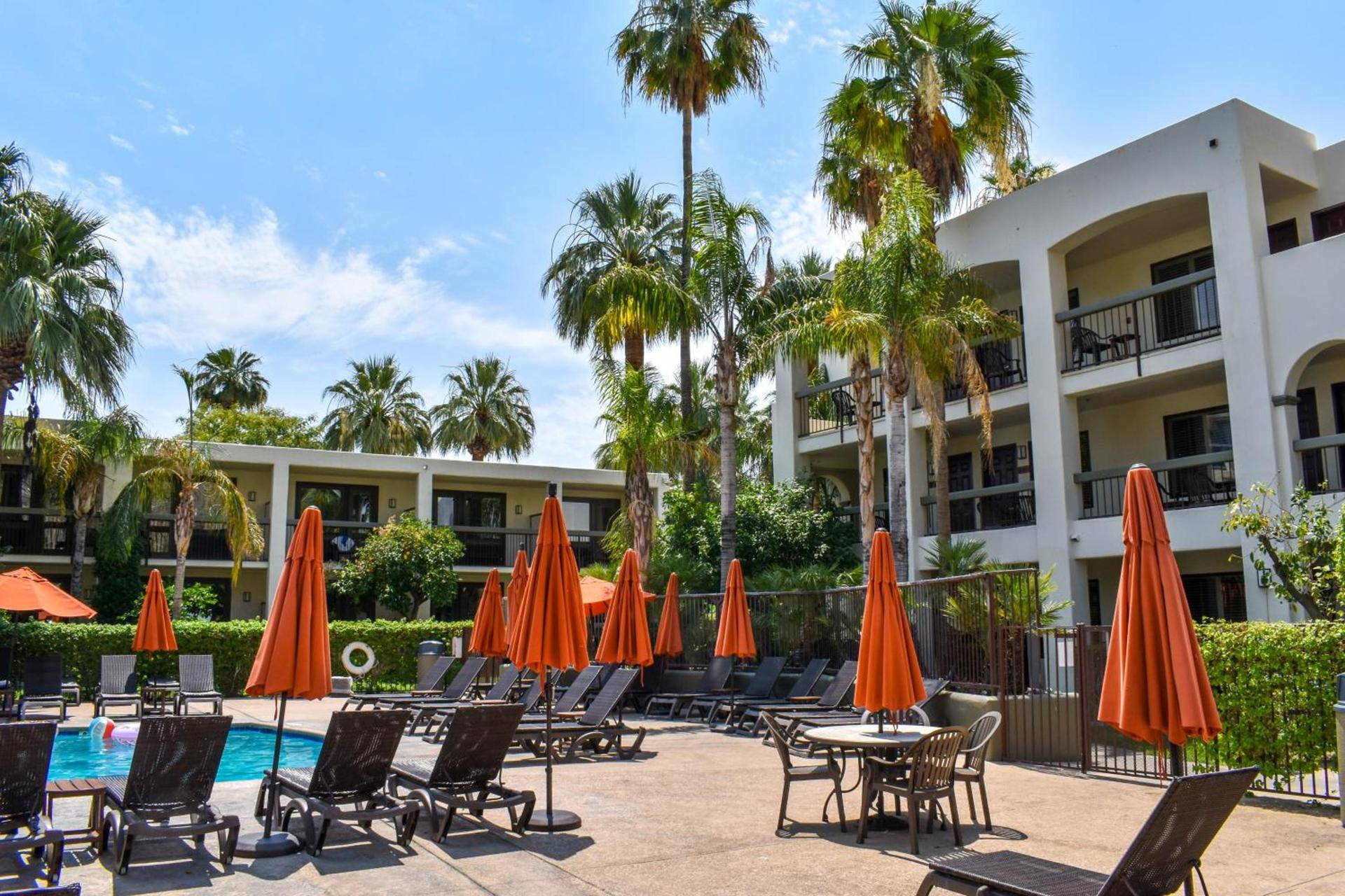 Palm Mountain Resort & Spa photo 6
