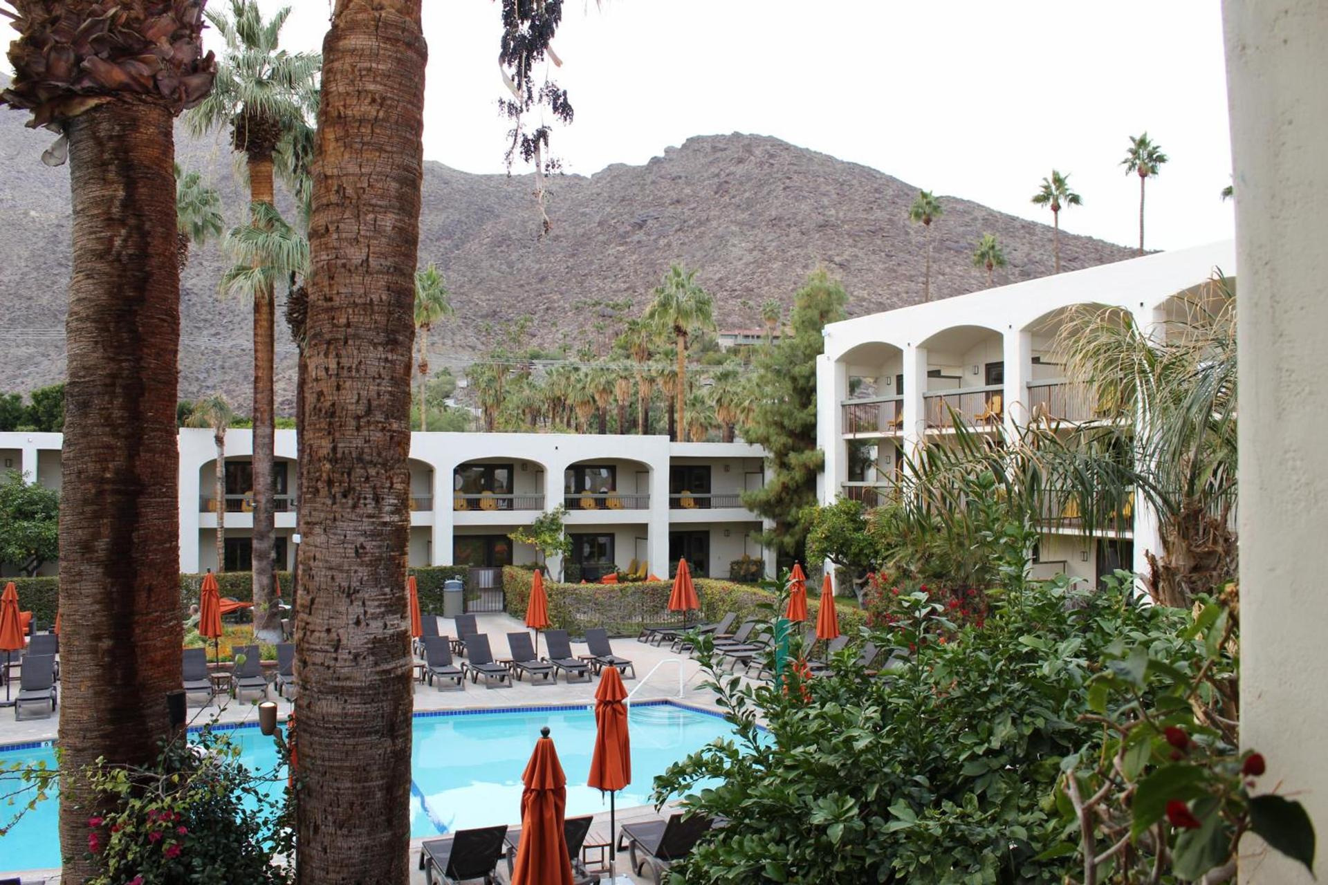 Palm Mountain Resort & Spa photo 11