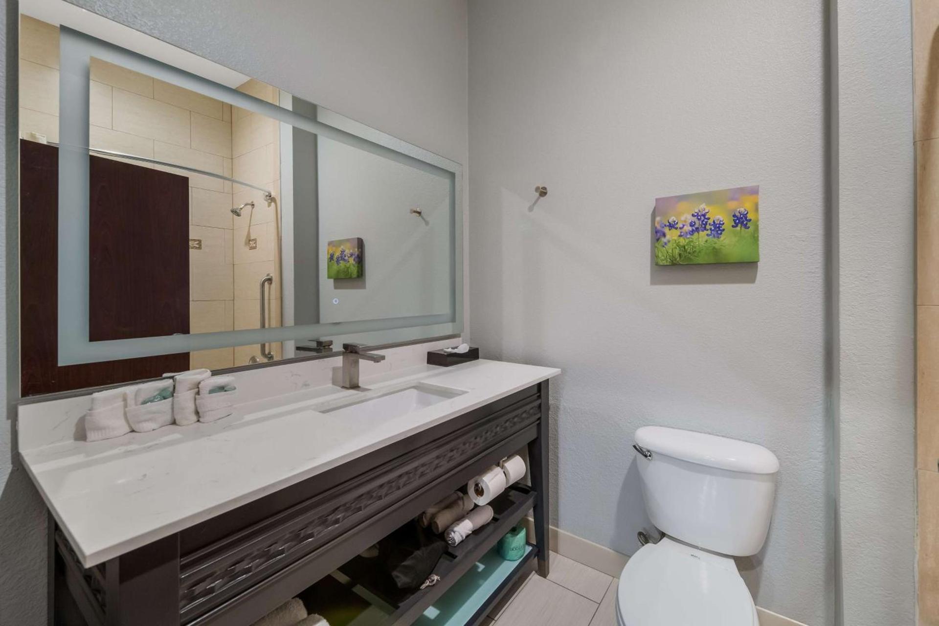 Best Western Plus Bowie Inn & Suites photo 31