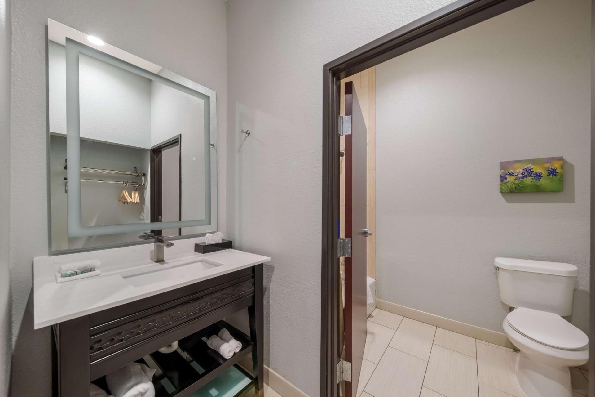 Best Western Plus Bowie Inn & Suites photo 21