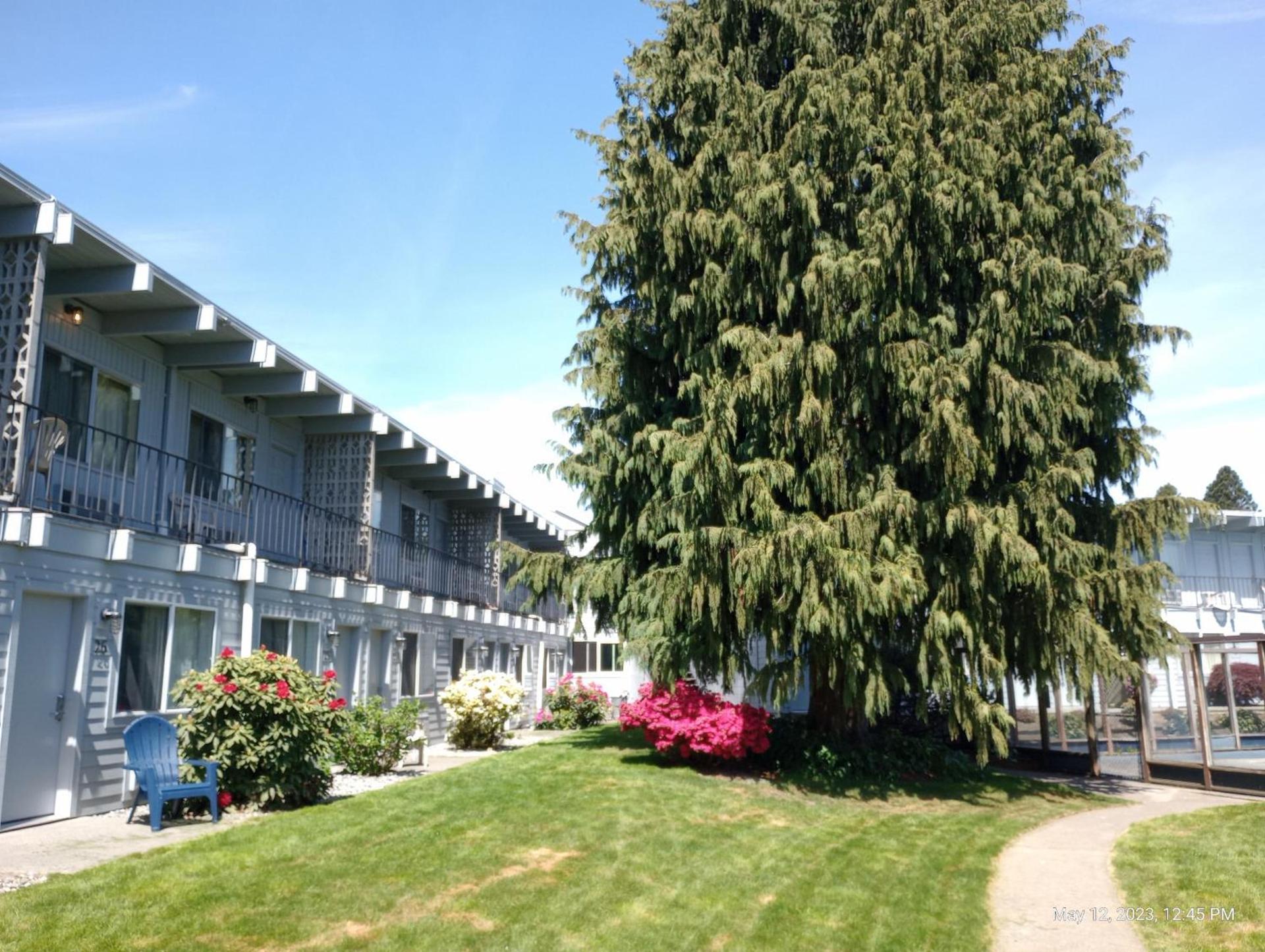Cocusa Motel photo 40