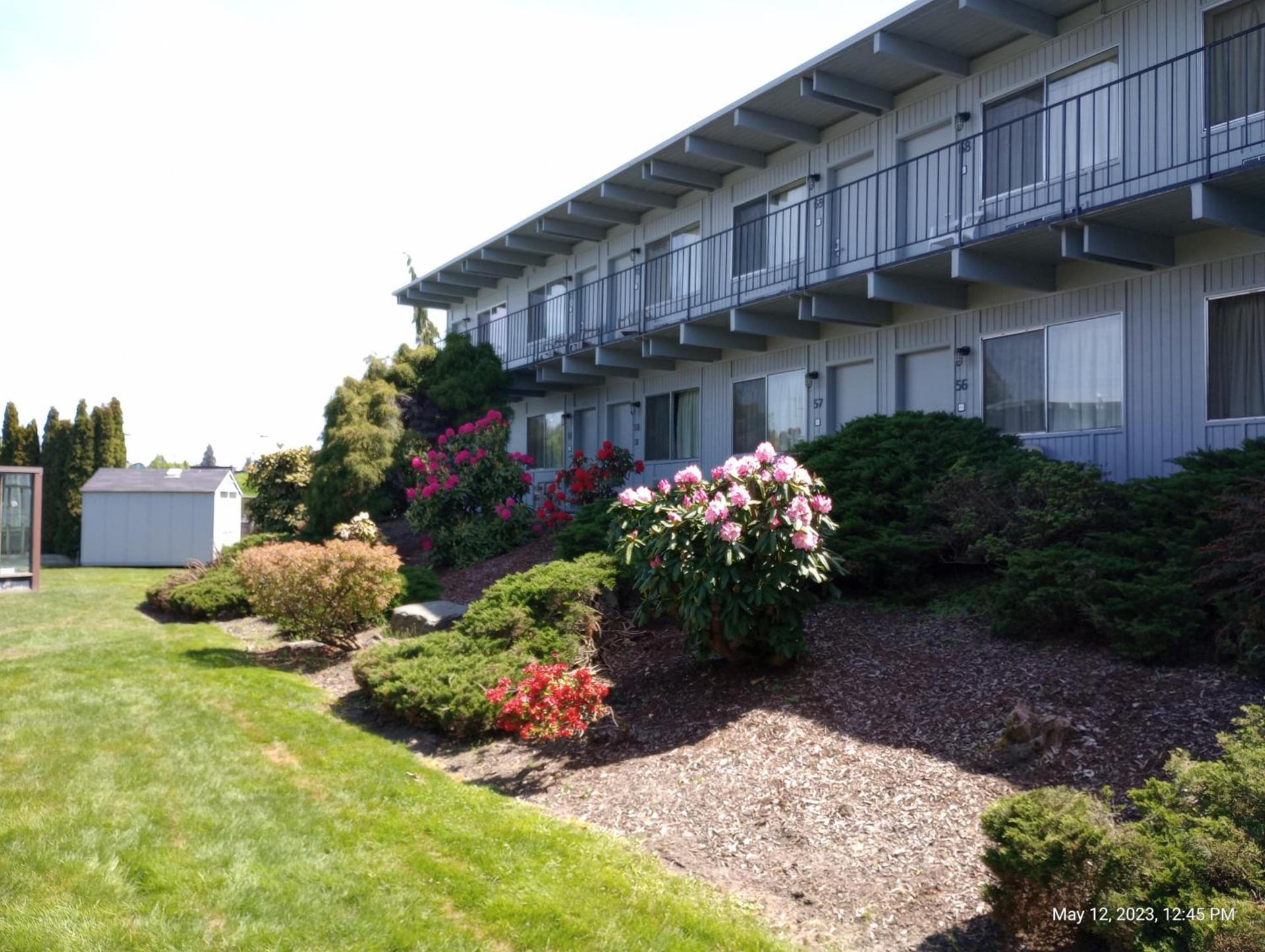 Cocusa Motel photo 37