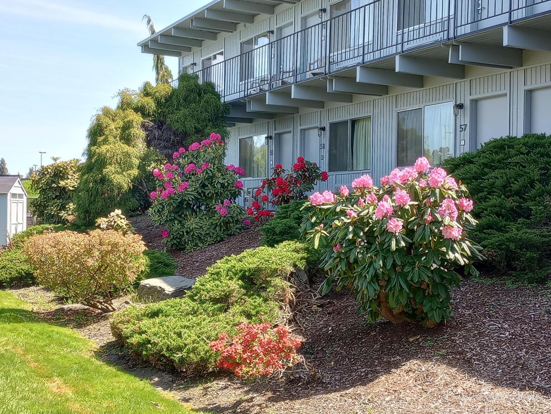 Cocusa Motel photo 38