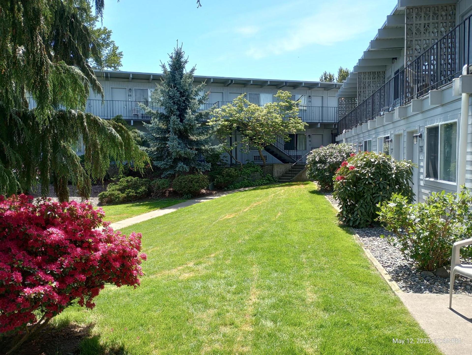 Cocusa Motel photo 41