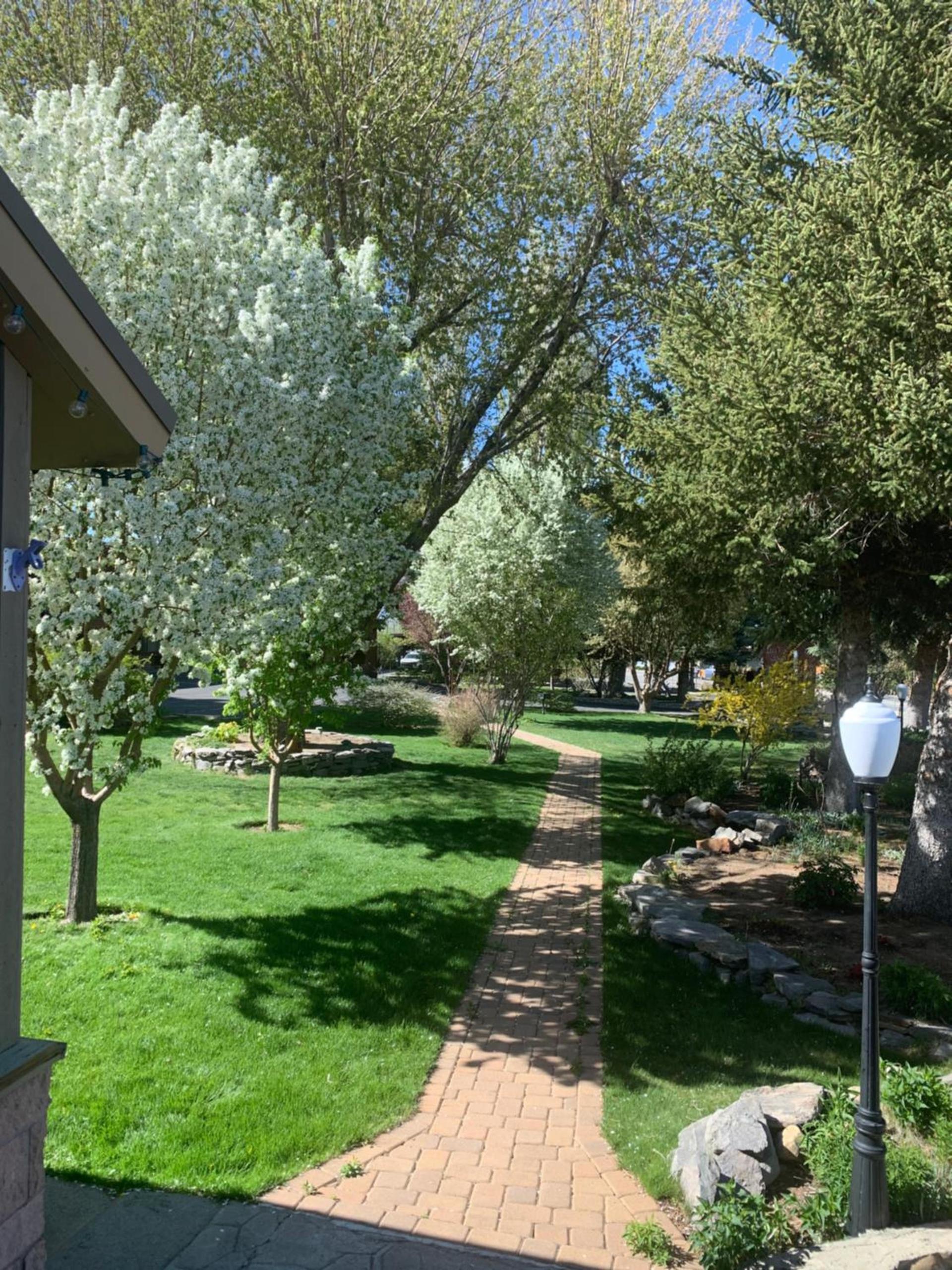 Lake View Lodge photo 90