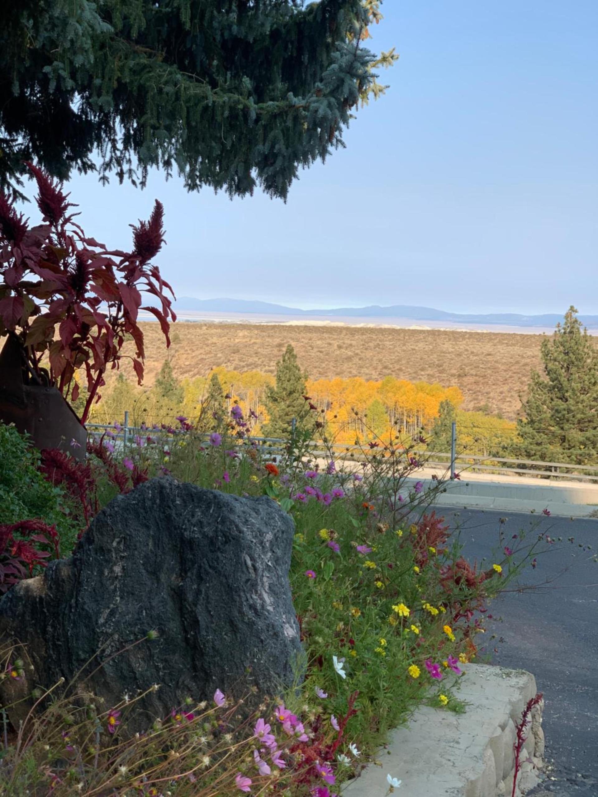 Lake View Lodge photo 91