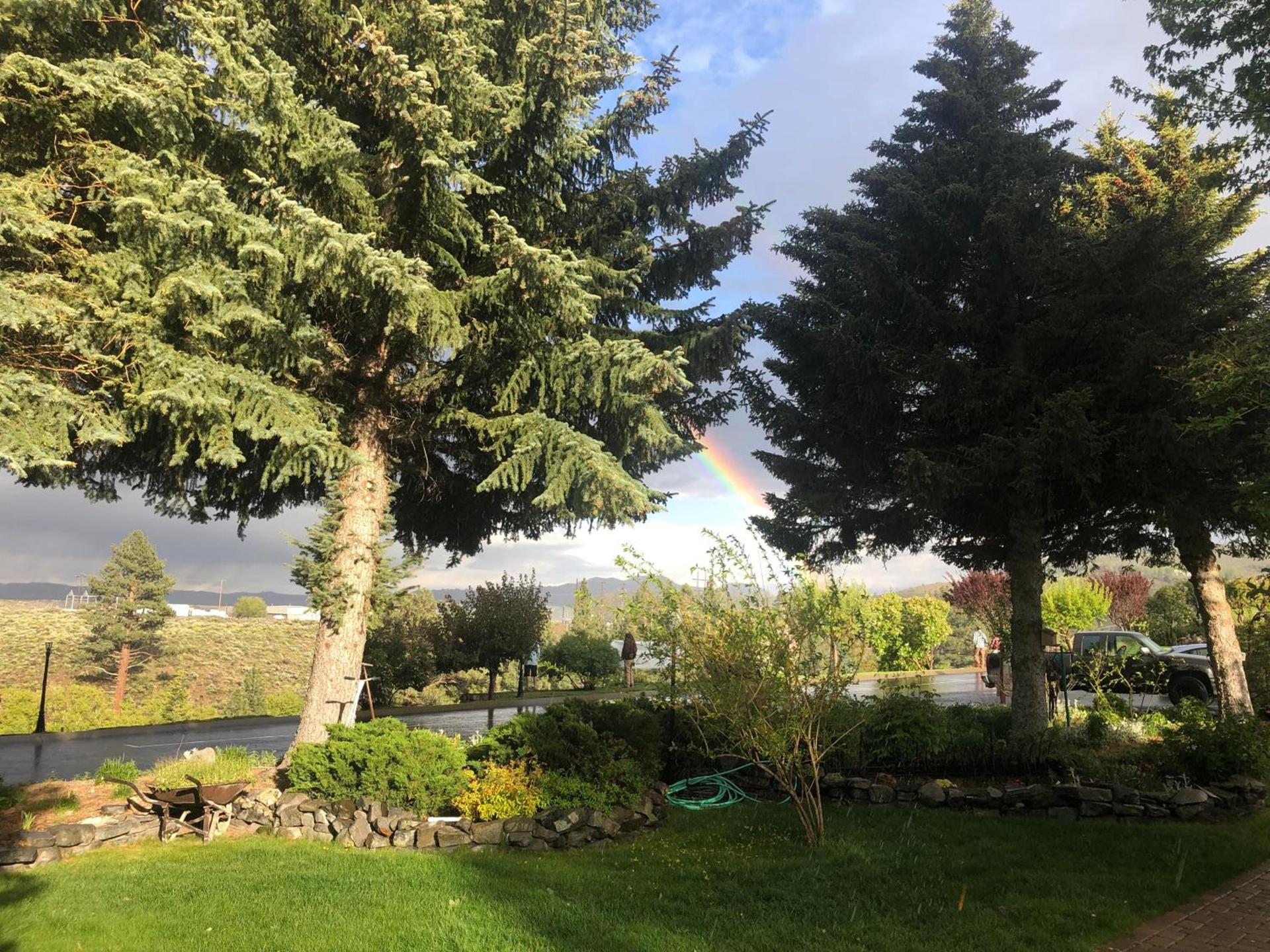 Lake View Lodge photo 93