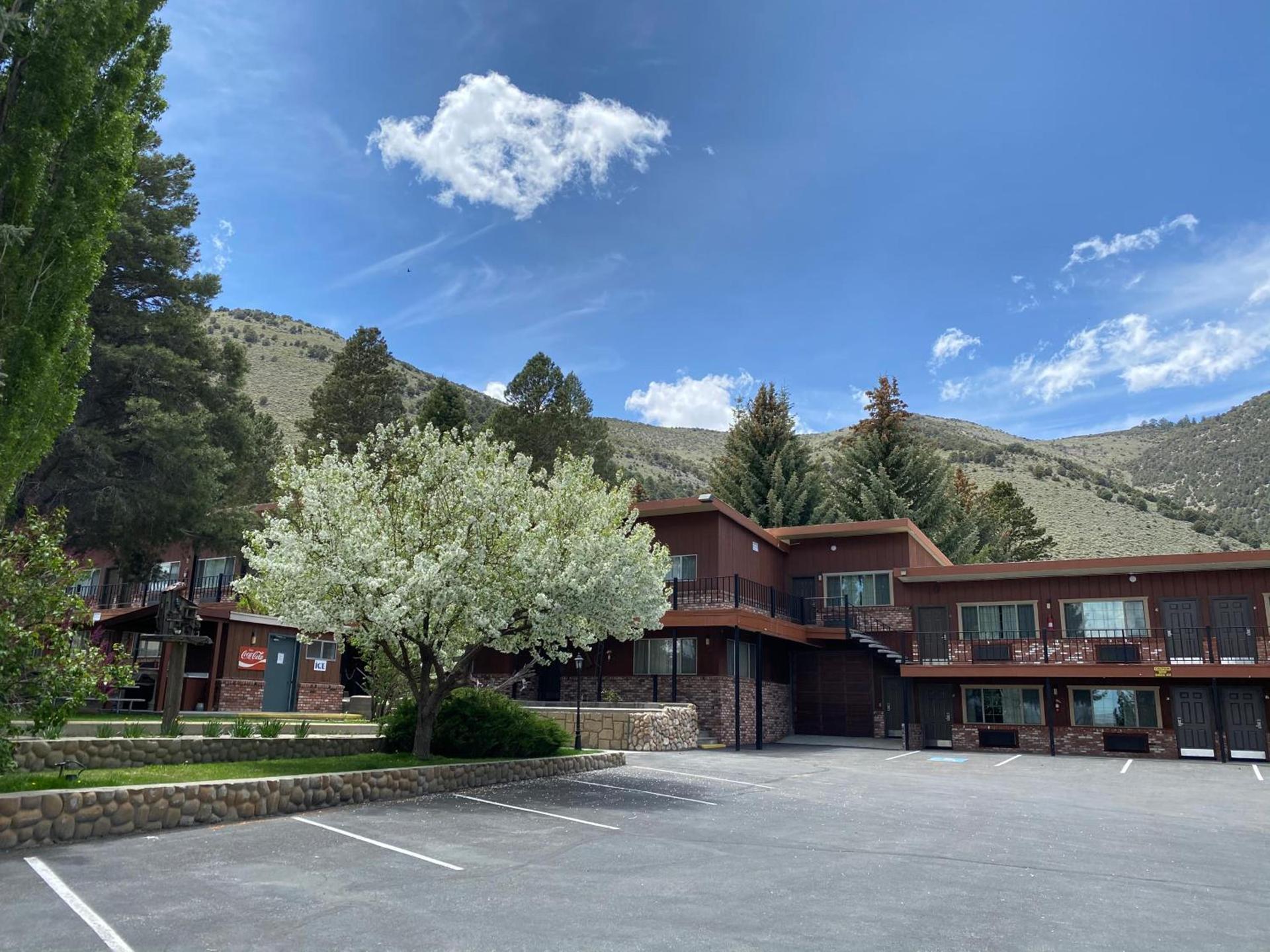 Lake View Lodge photo 96