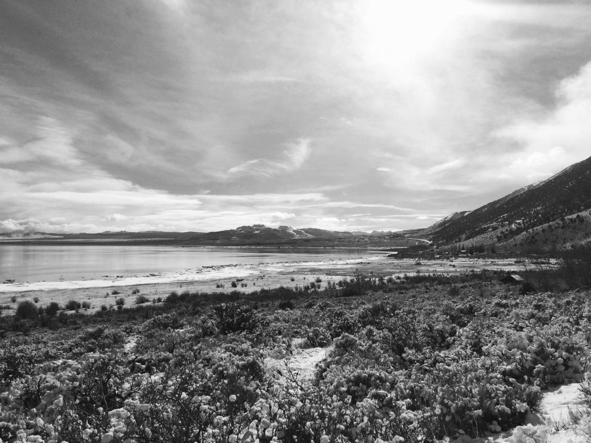 Lake View Lodge photo 100