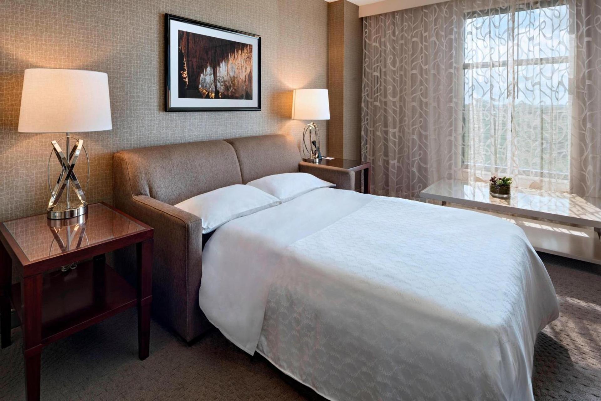 Sheraton Austin Georgetown Hotel & Conference Center photo 17