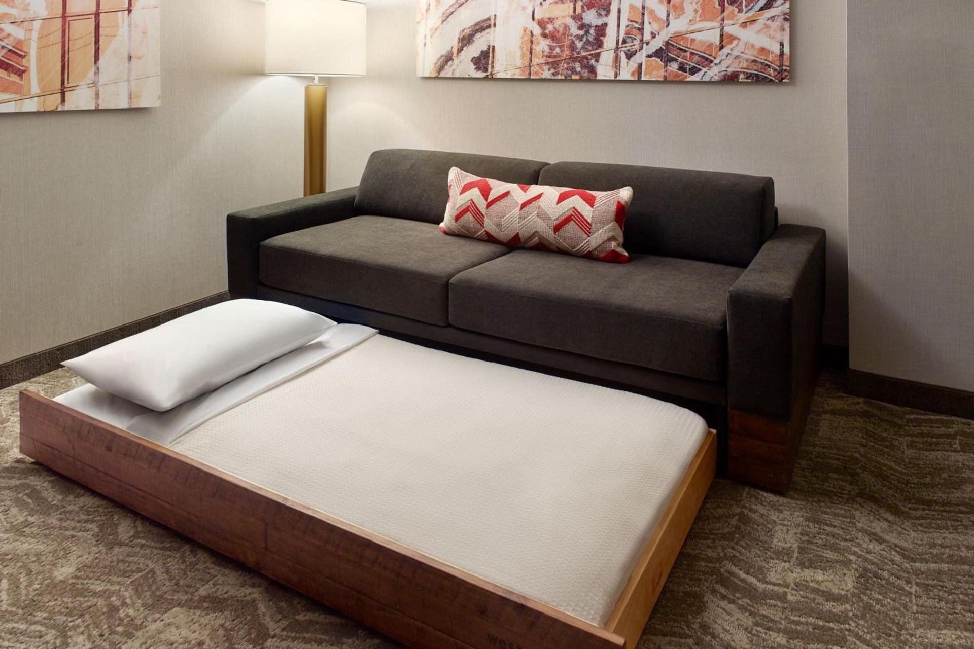 SpringHill Suites by Marriott Atlanta Northwest photo 12