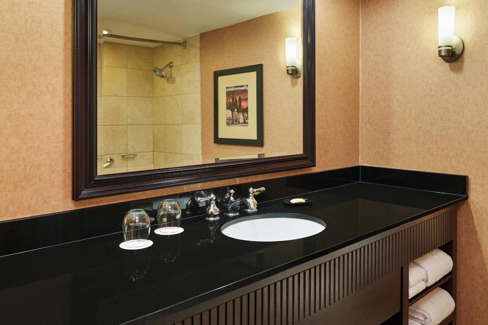 Sheraton Lisle Naperville Hotel photo 17