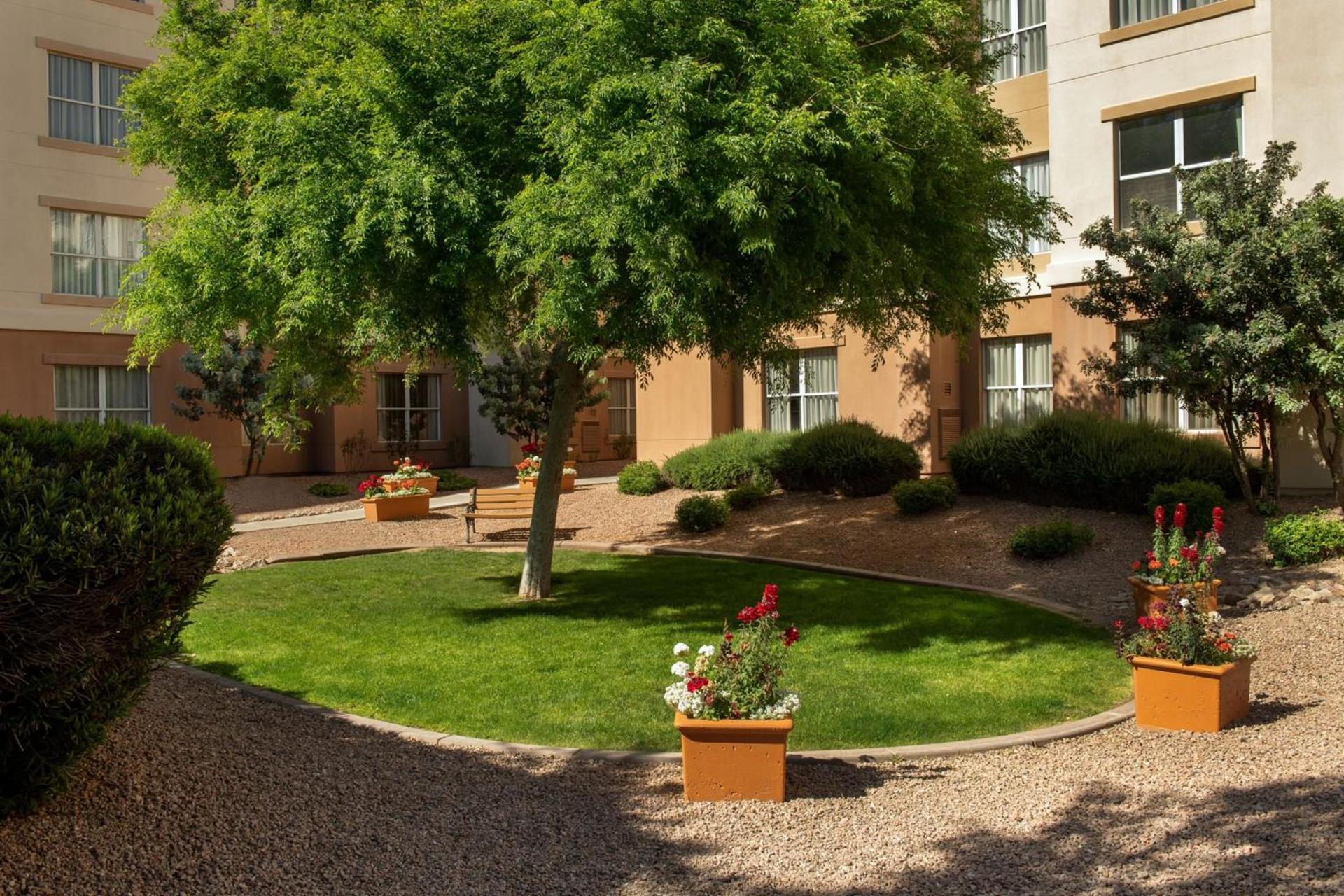 Residence Inn by Marriott Phoenix Airport photo 32