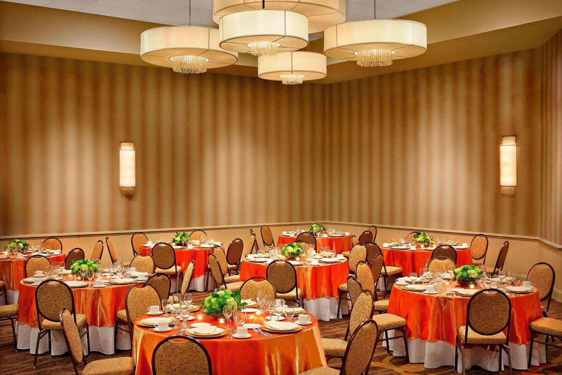 Sheraton Albuquerque Airport Hotel photo 19