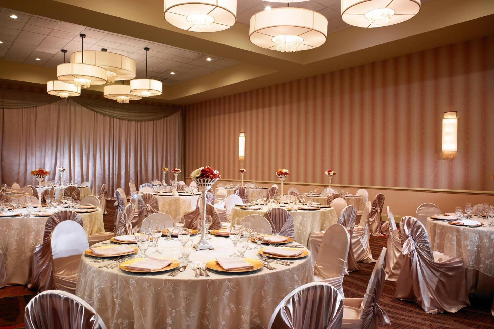 Sheraton Albuquerque Airport Hotel photo 20