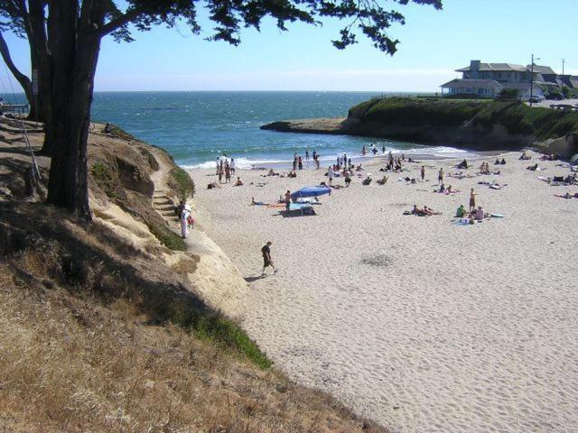 Sunny Cove Motel photo 18