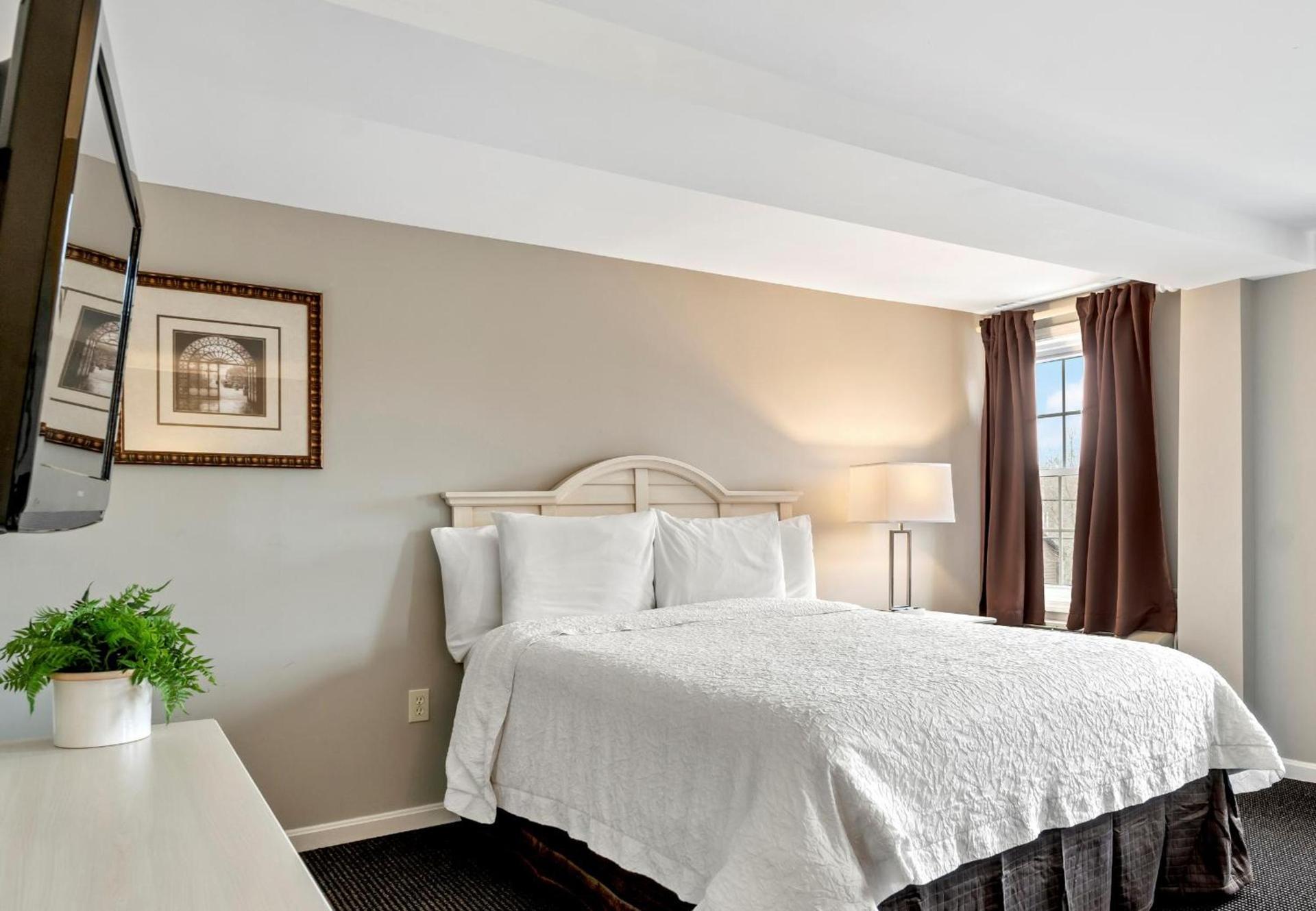 Sea Rose Suites photo 26