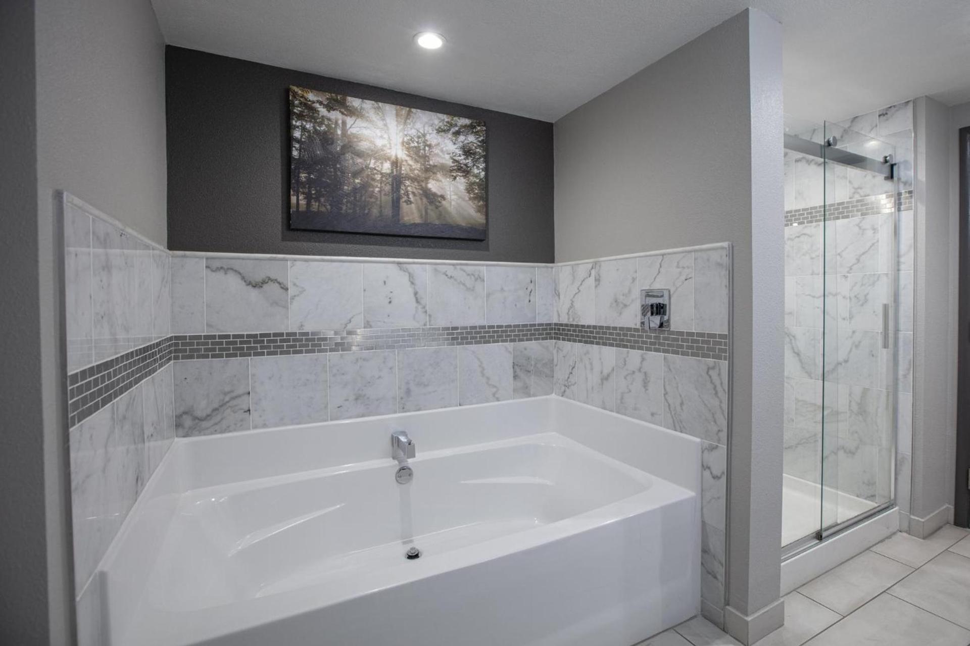 Holiday Inn St Louis SW - Route 66 by IHG photo 42