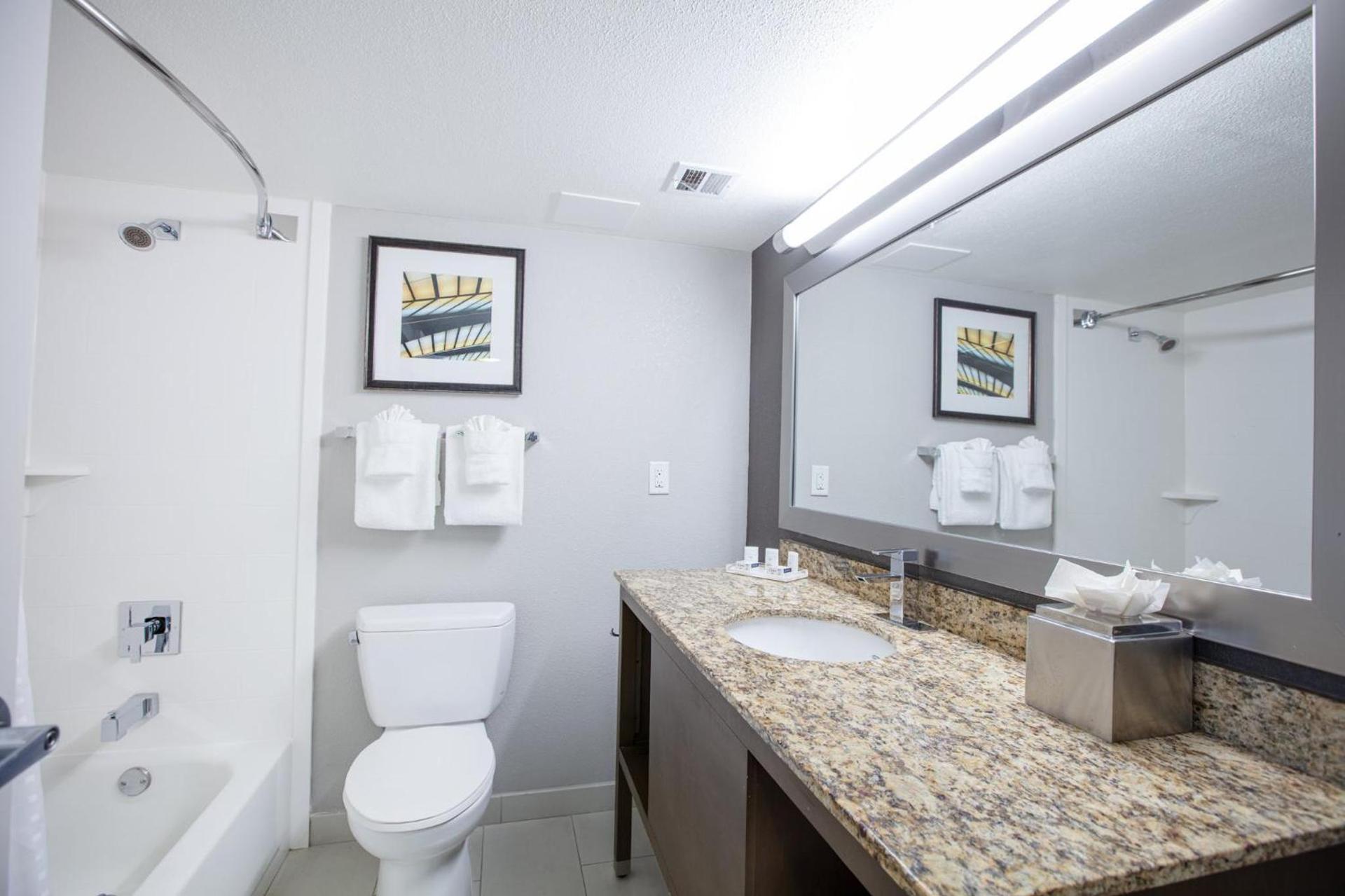 Holiday Inn St Louis SW - Route 66 by IHG photo 30