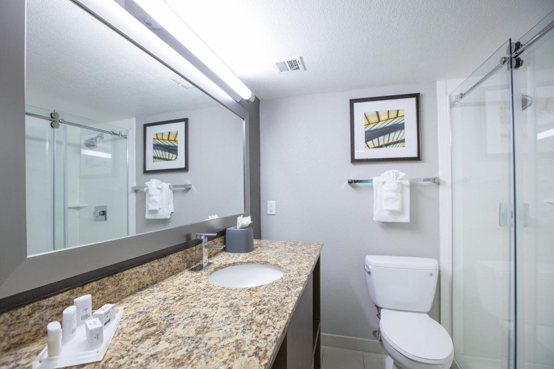Holiday Inn St Louis SW - Route 66 by IHG photo 36