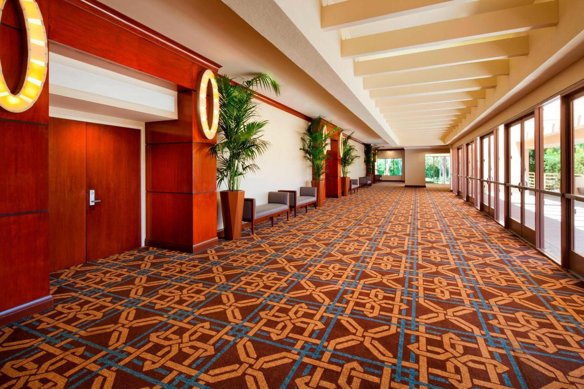 Sheraton Agoura Hills Hotel photo 33