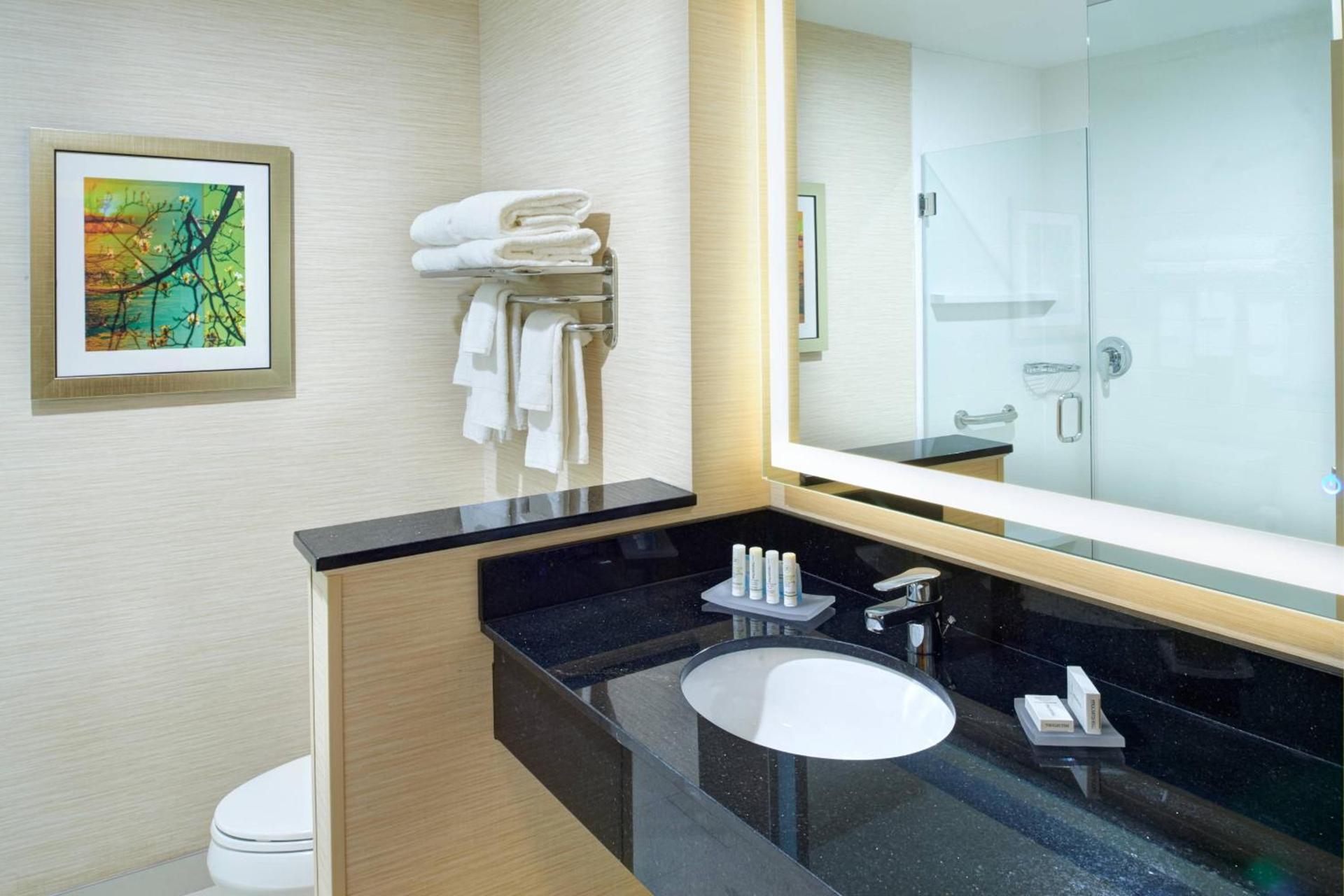 Fairfield Inn & Suites by Marriott Detroit Troy photo 13