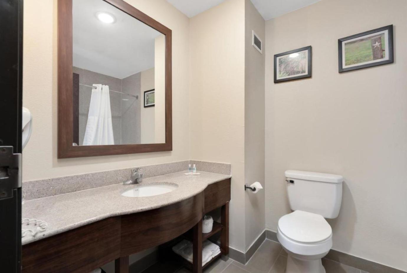 Comfort Suites Abilene Central photo 32