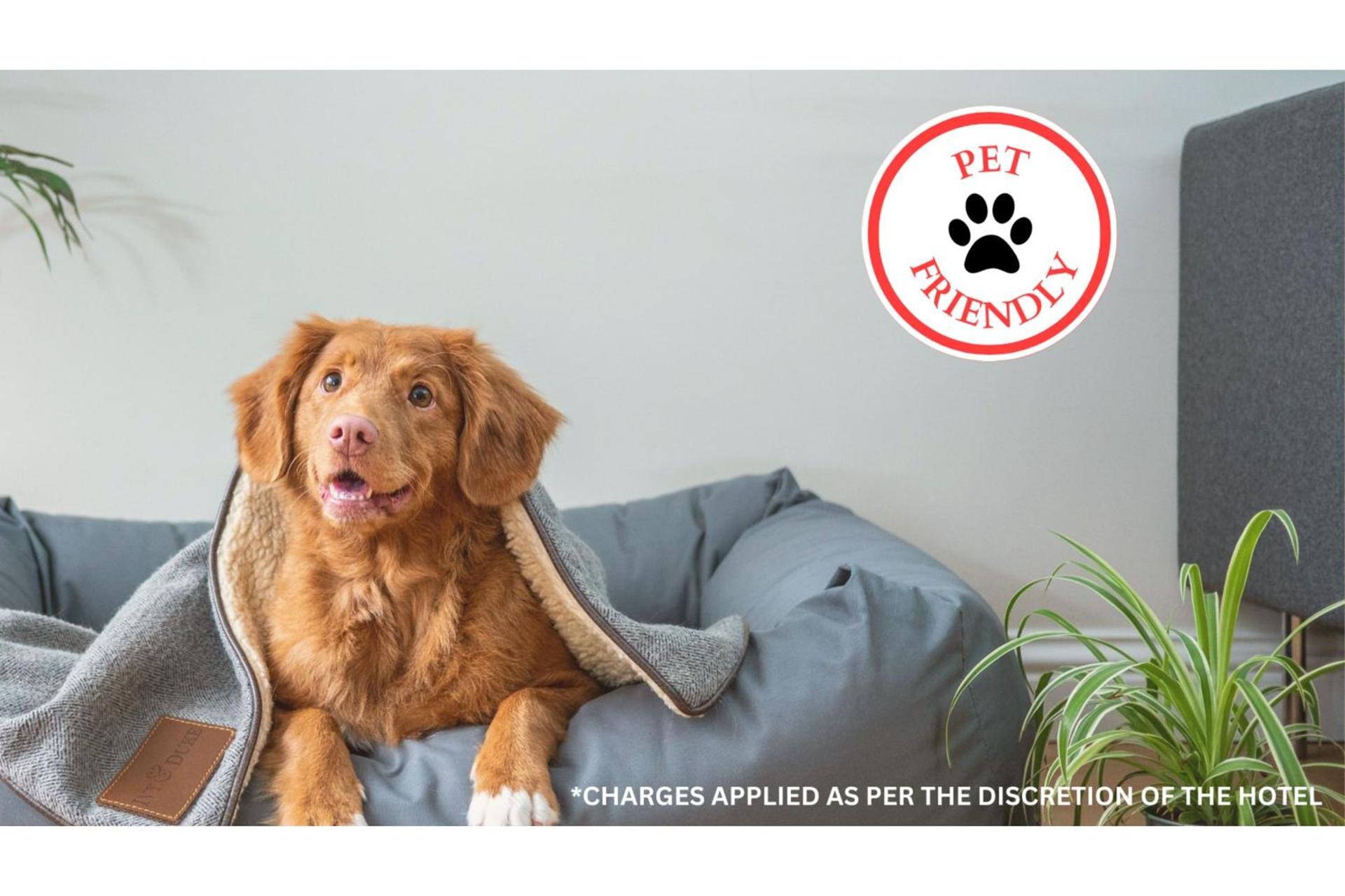 OYO Hotel Luling TX Downtown I-10/US-90 photo 5