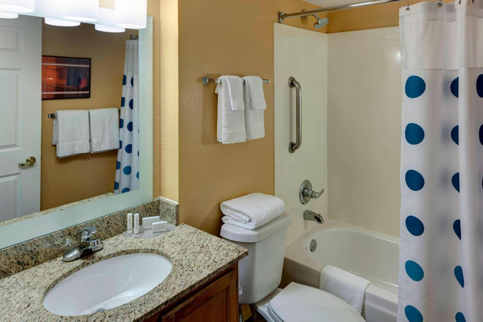 TownePlace Suites Dallas Arlington North photo 47