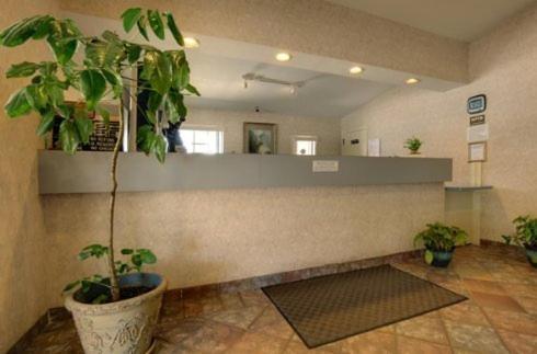Edinburg Executive Inn photo 2