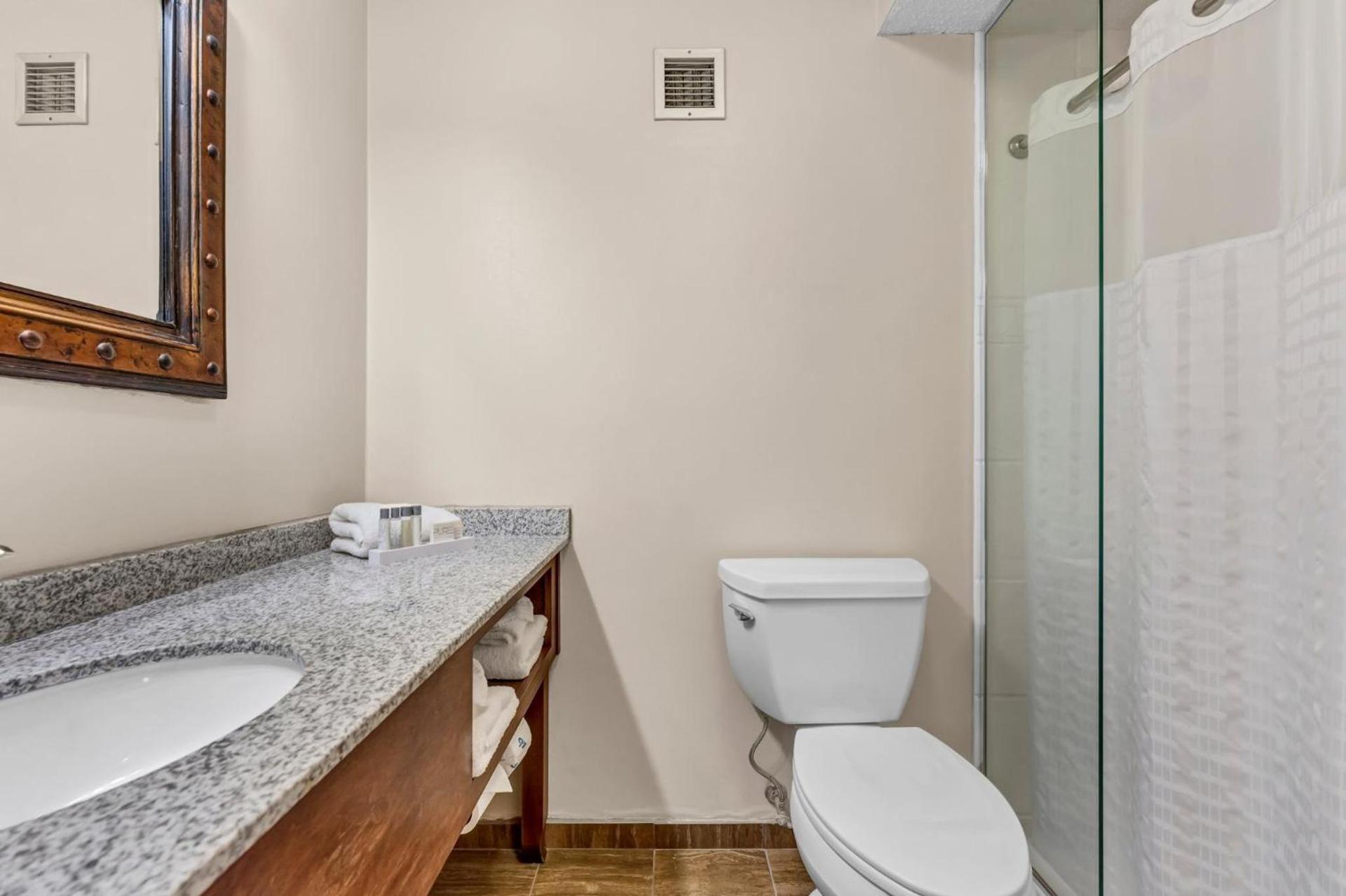Buffalo Airport Hotel photo 28