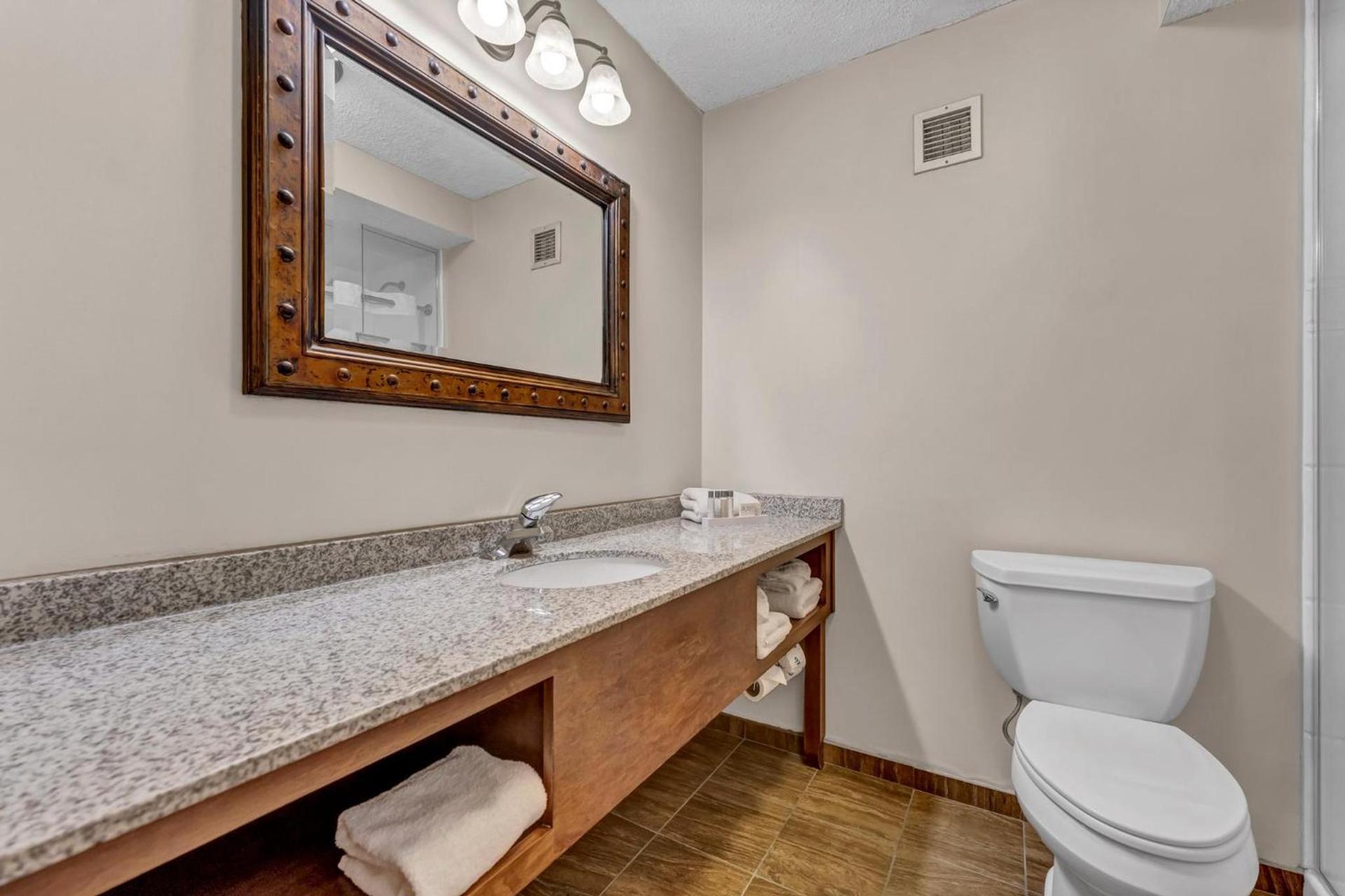 Buffalo Airport Hotel photo 26